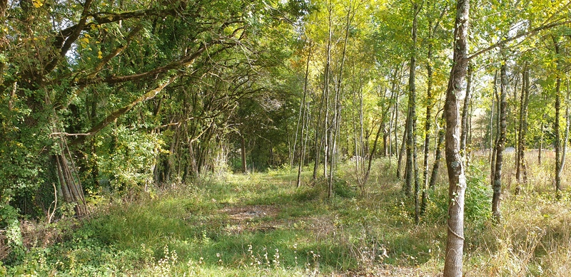 A l'Orée des Bastides - Gîte de Lariot, Saint-Quentin-du-Dropt - photo 5