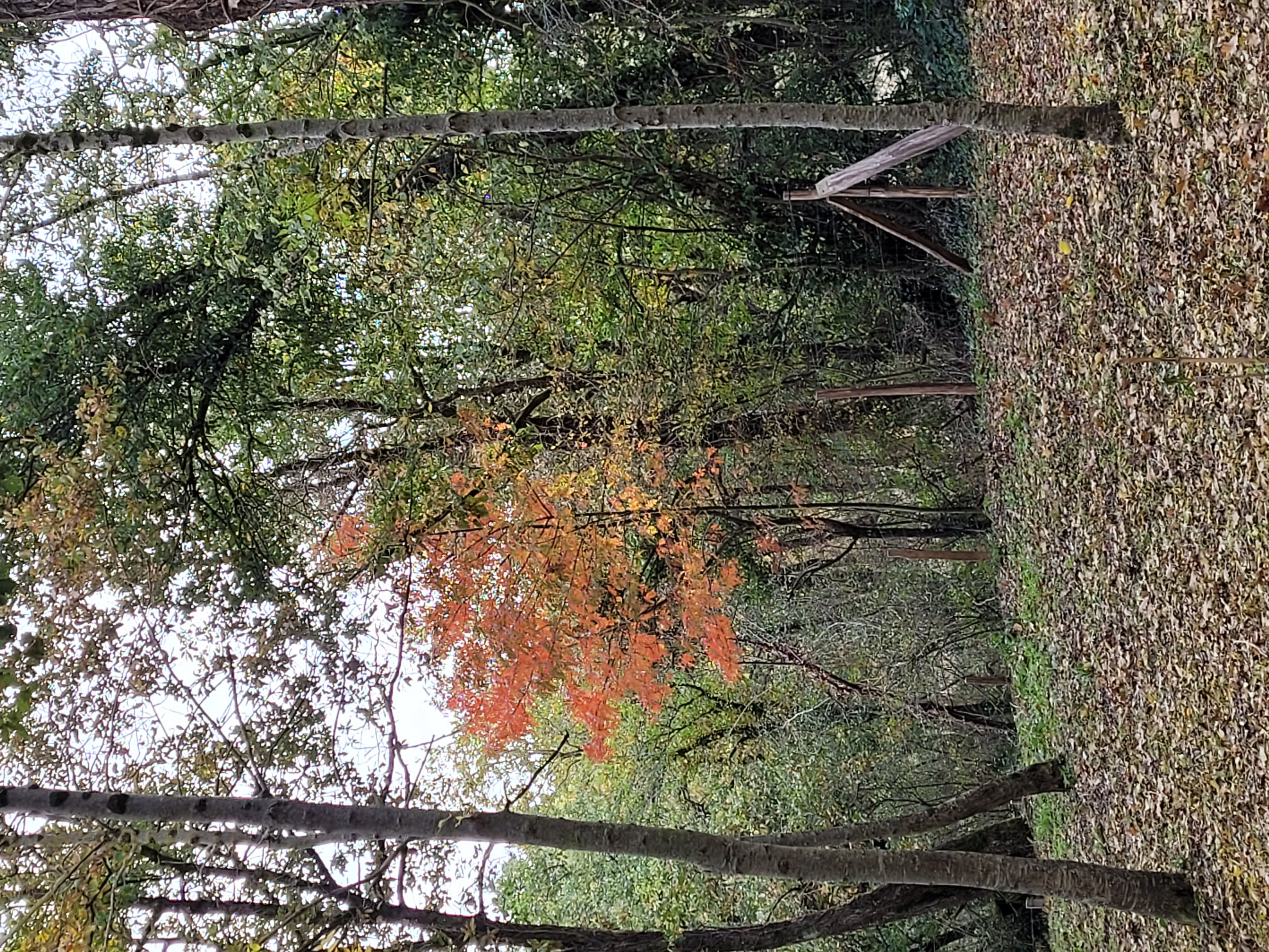 Gîte du côteau, Saint-Loup-Lamairé - photo 14