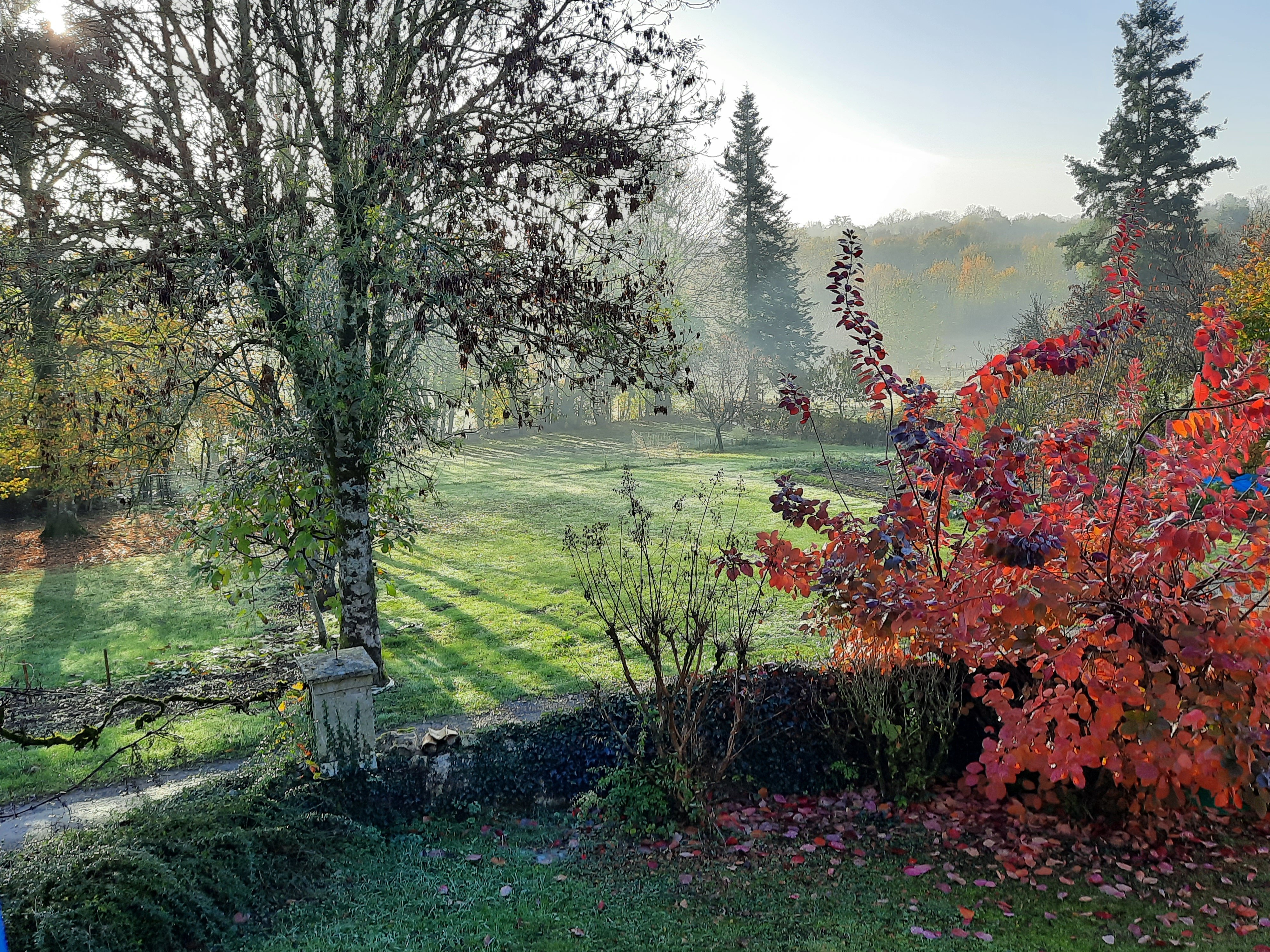 Gîte Le Four à Pain - photo 2