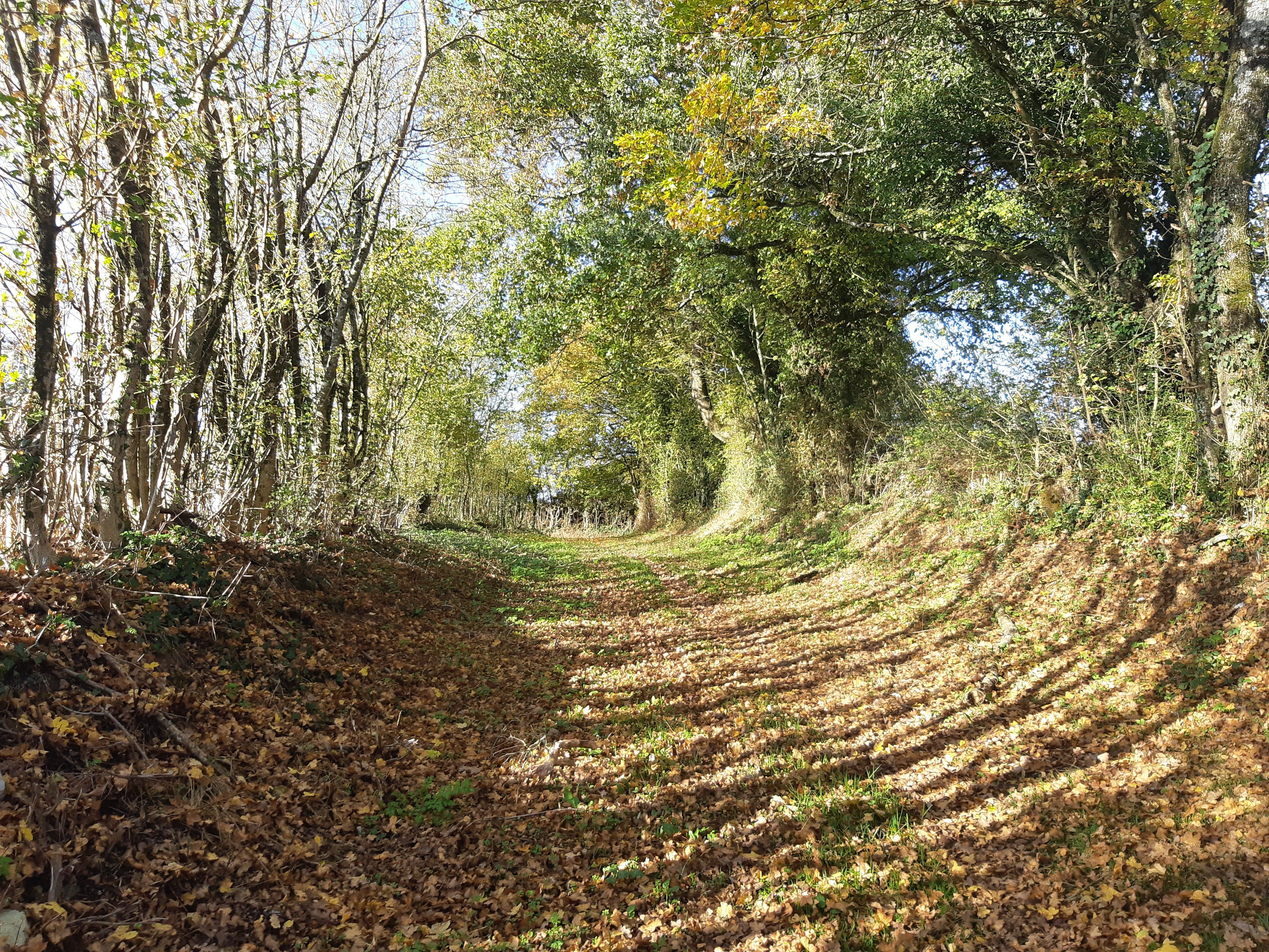Circuit du Moulin de la Chaise - Plan d'eau du Lambon, Prailles-La Couarde - photo 4
