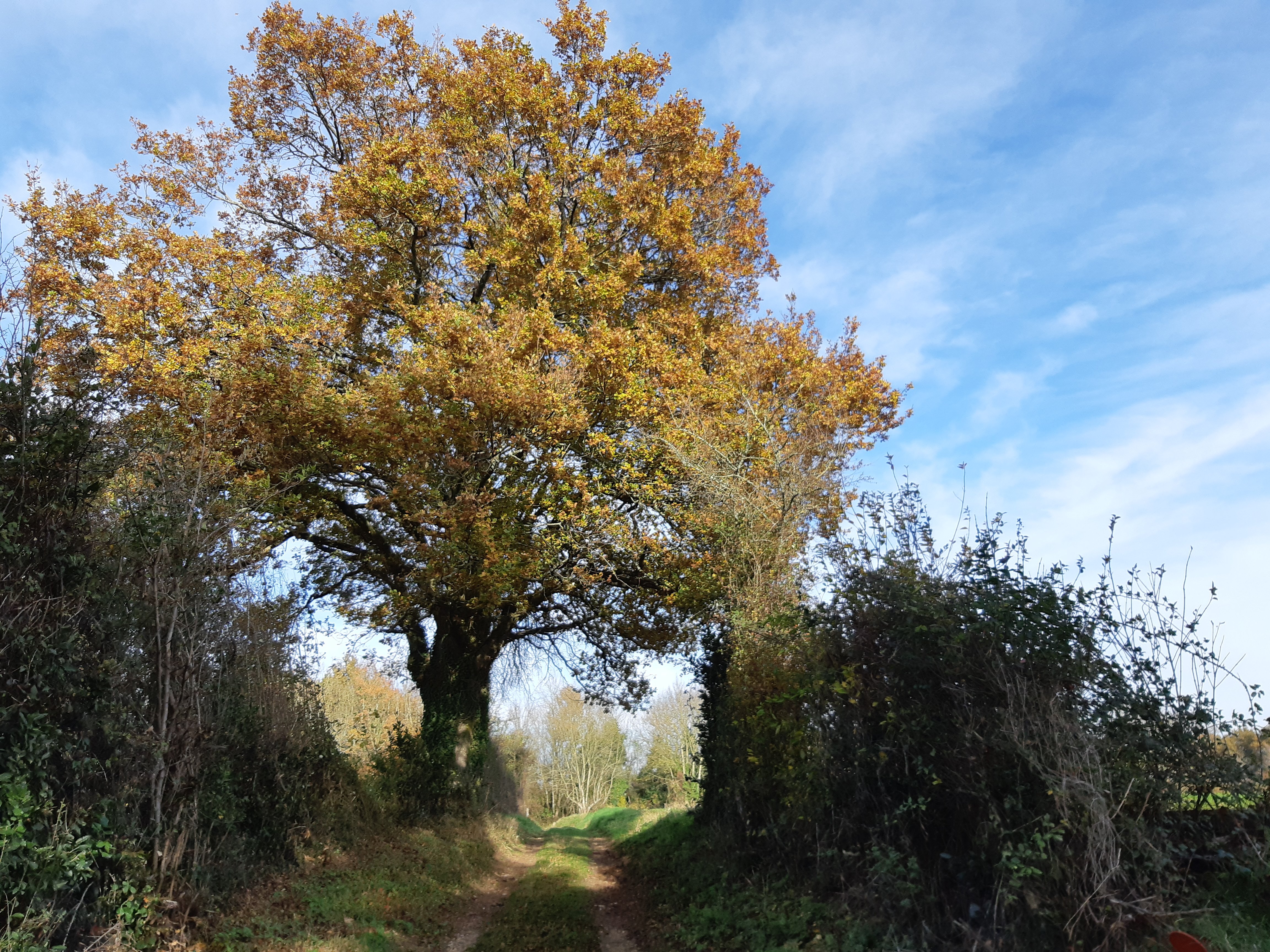 Circuit des Dragonnades - Prailles