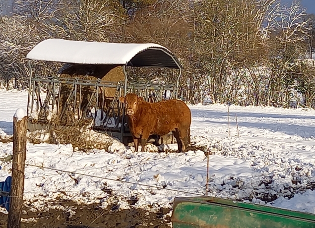 La Ferme de Muriel et Xavier — photo 2