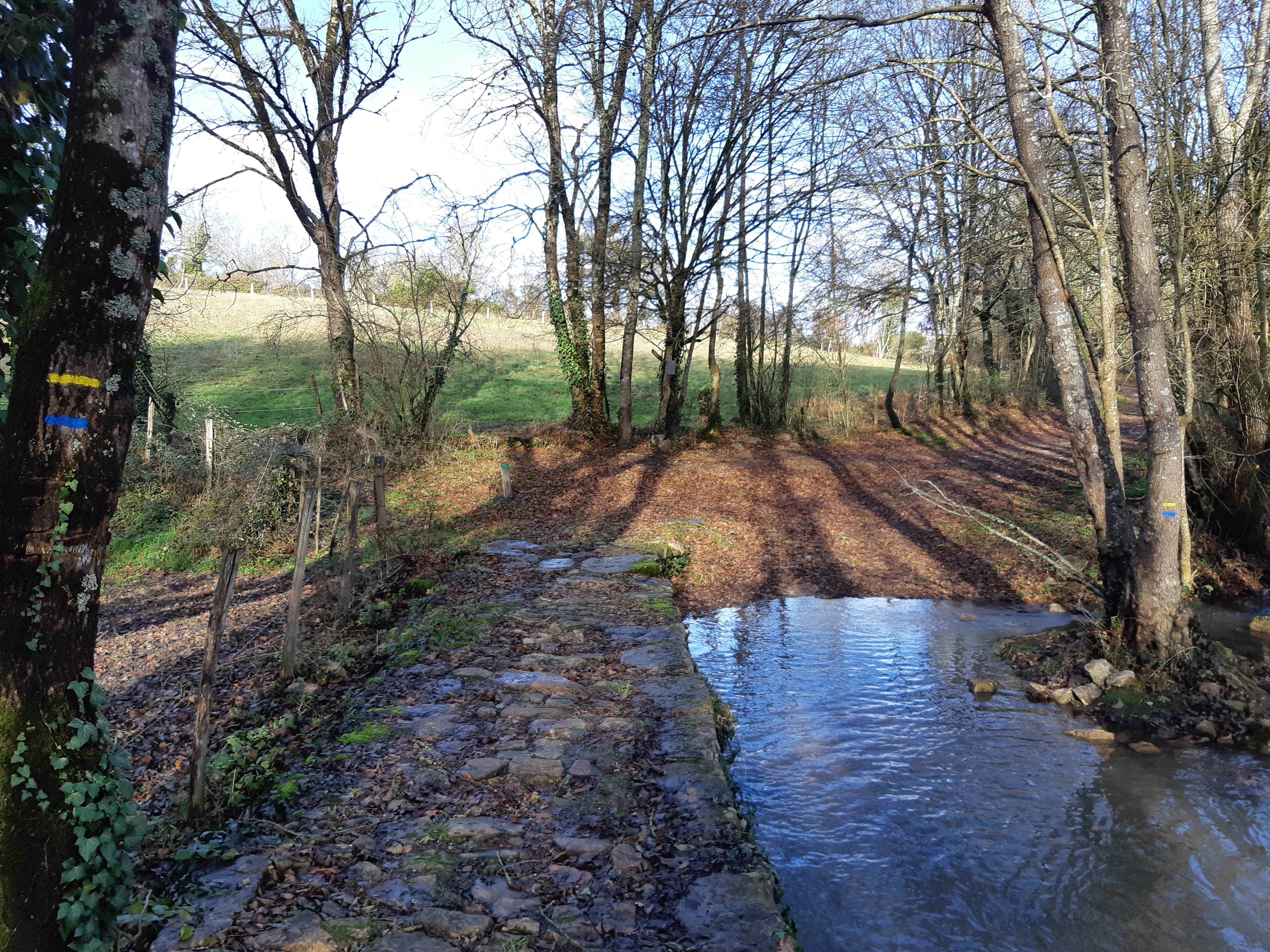 Le Salpot - Fressines, Fressines - photo 2