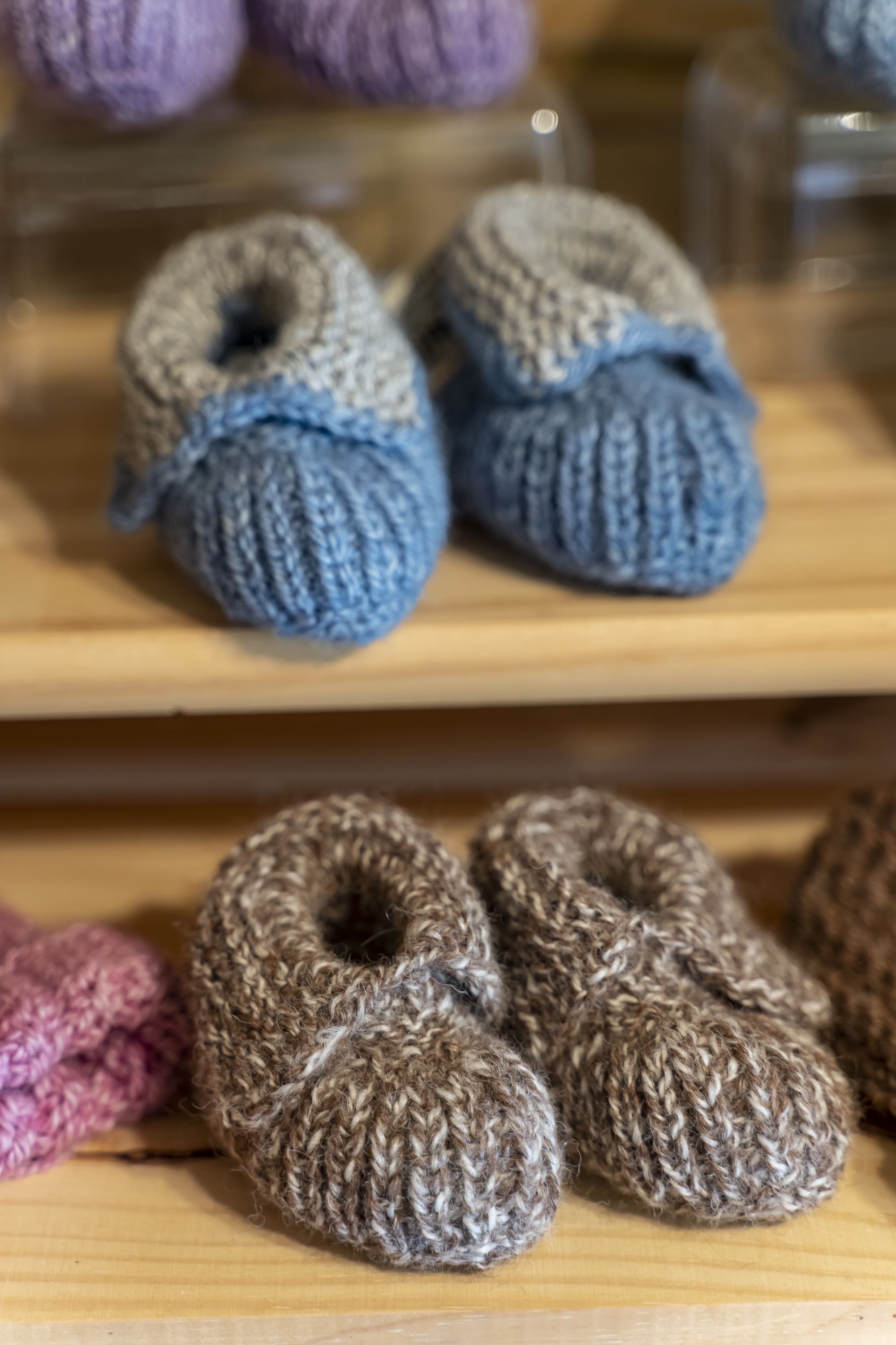 Ferme le Hillot élevage d'alpagas, Bourriot-Bergonce - photo 3