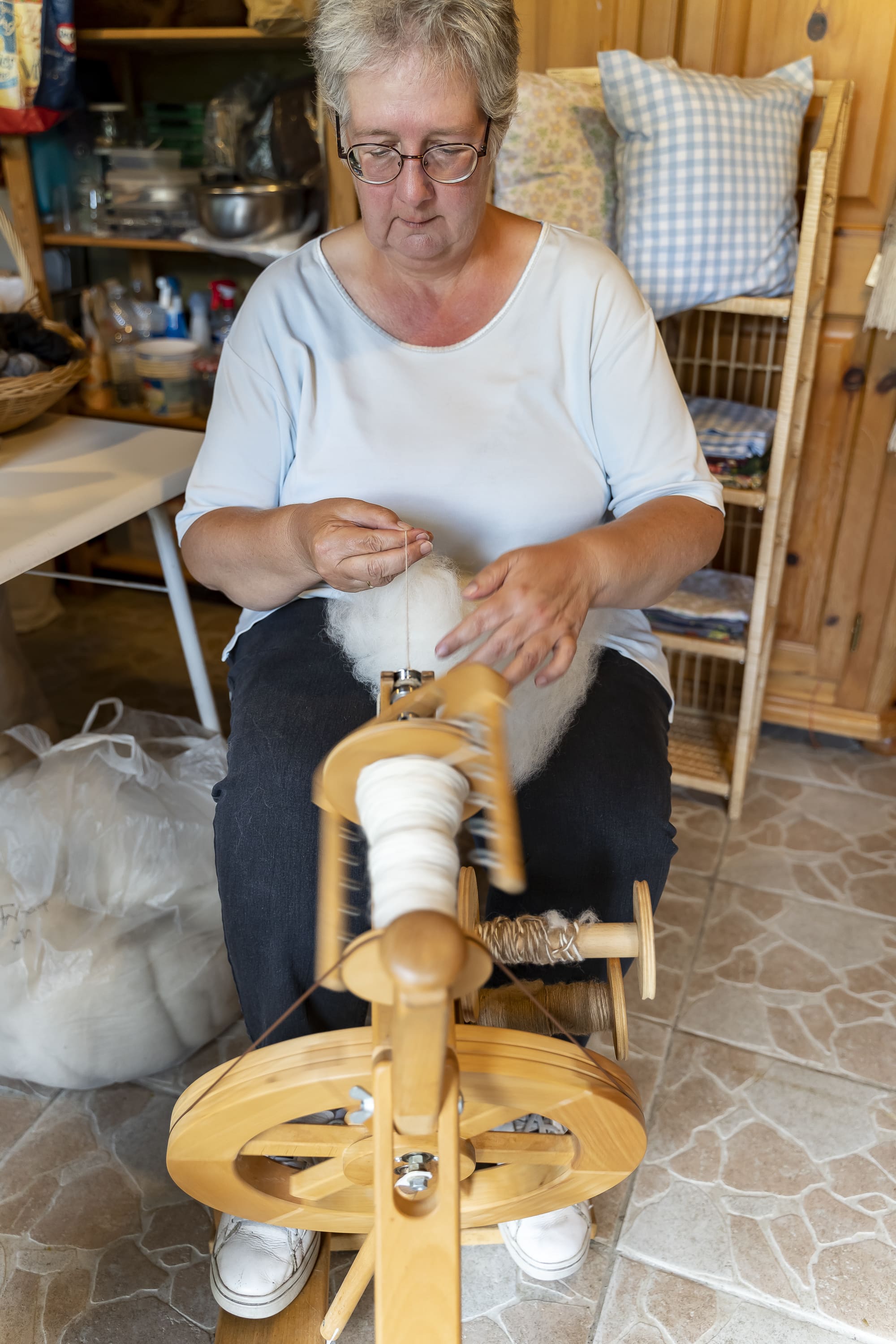 Ferme le Hillot élevage d'alpagas, Bourriot-Bergonce - photo 7