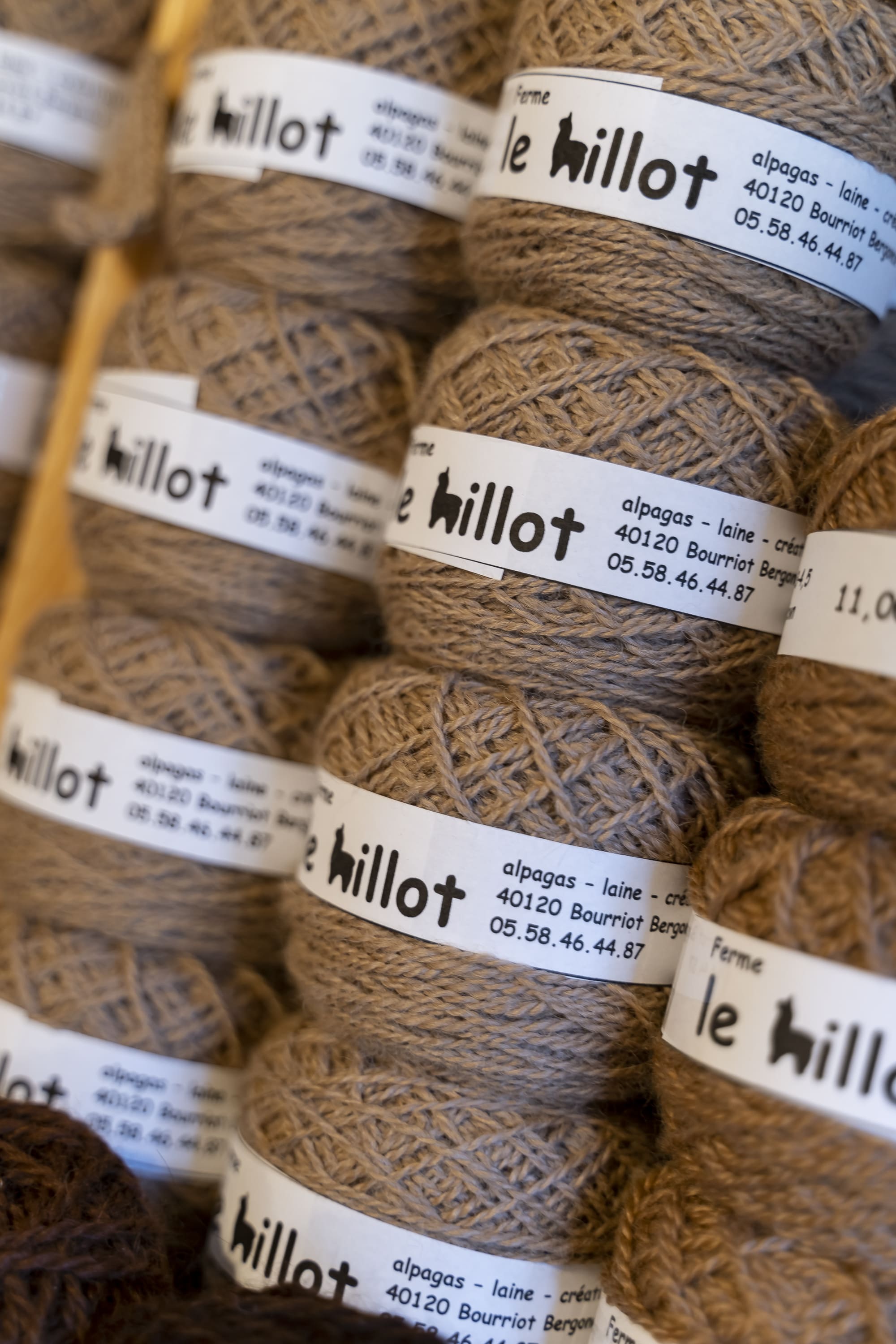 Ferme le Hillot élevage d'alpagas, Bourriot-Bergonce - photo 6