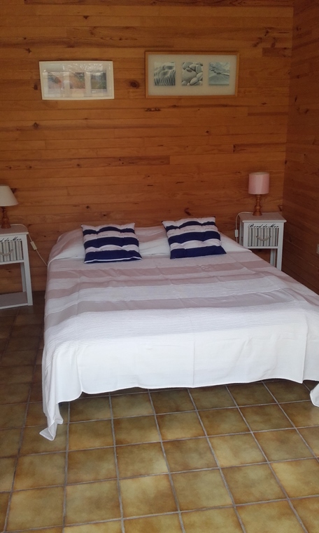 Lopez Manuel - Hibiscus Arrière, Mimizan - photo 5