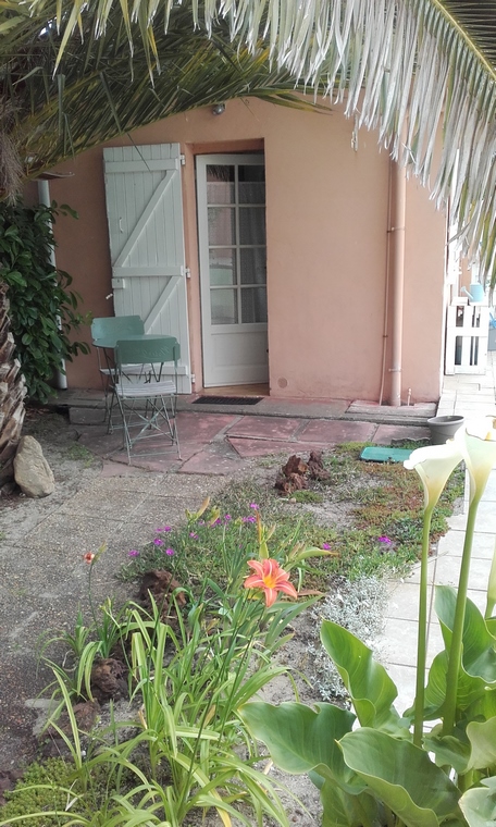 Lopez Manuel - Hibiscus Arrière