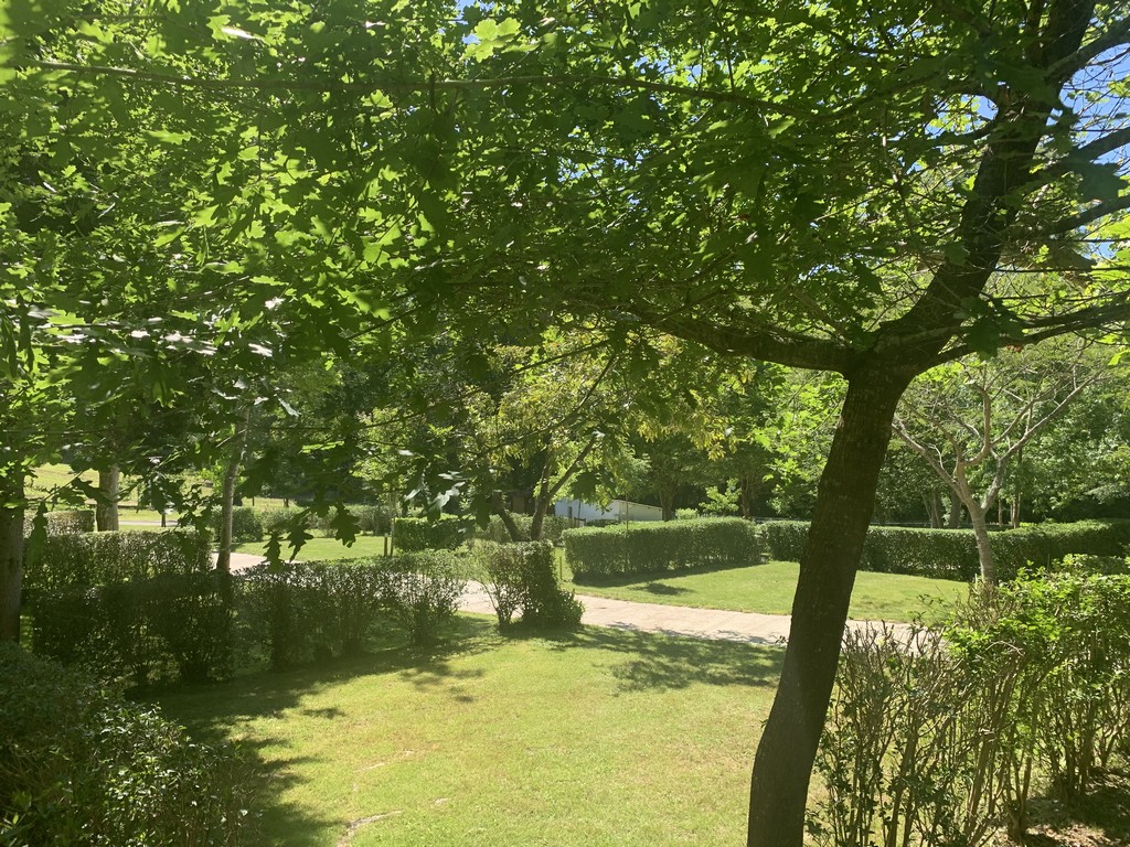 Camping Le Ruisseau, Saint-André-de-Seignanx - photo 7