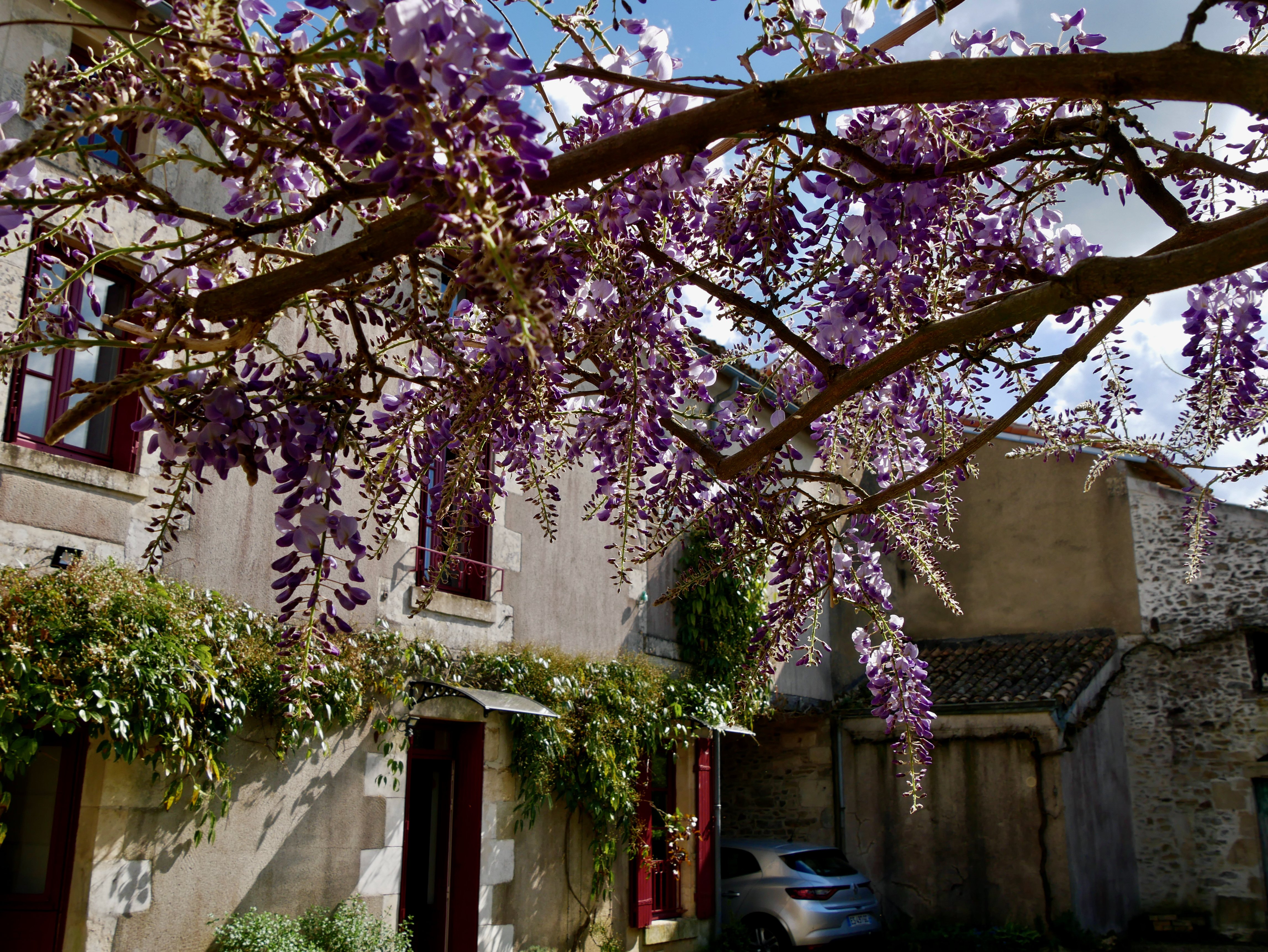 Gîte "L'épicerie de Madeleine"