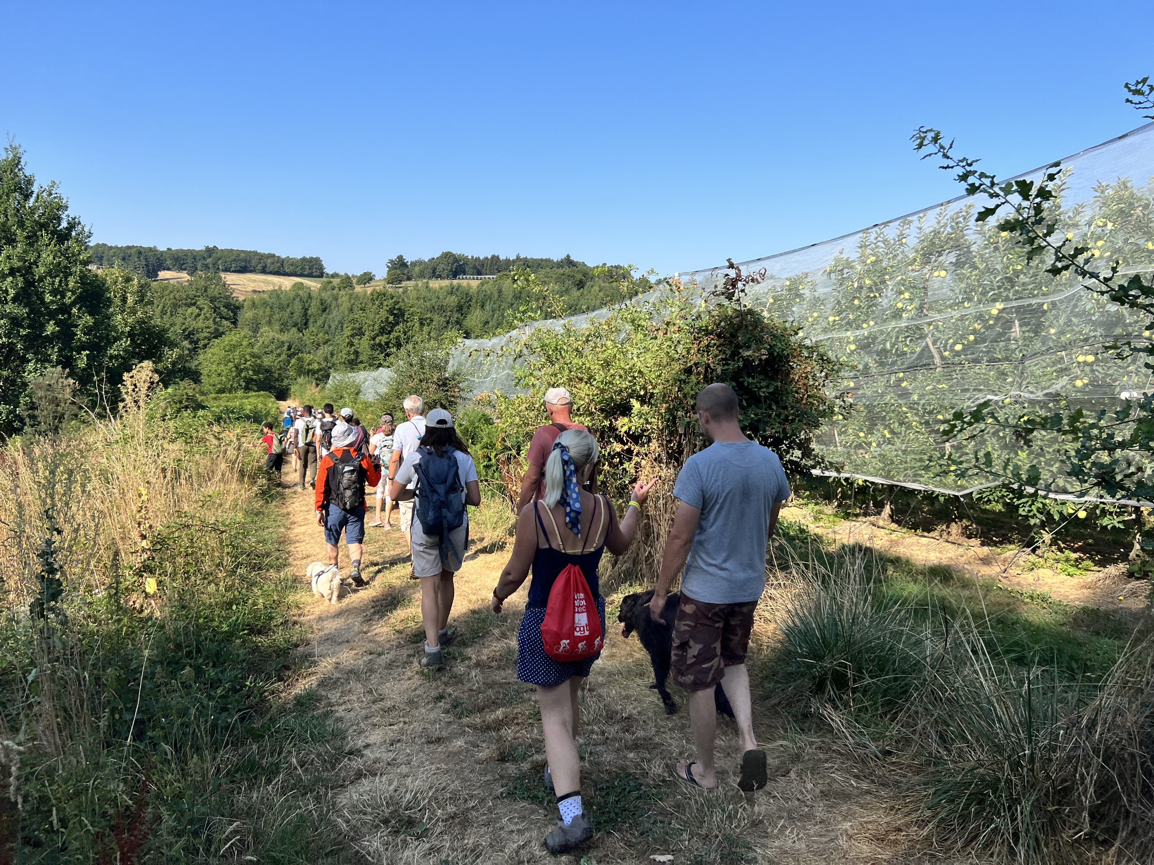 Route de la Pomme du Limousin - Visite verger 2026 — visuel événement