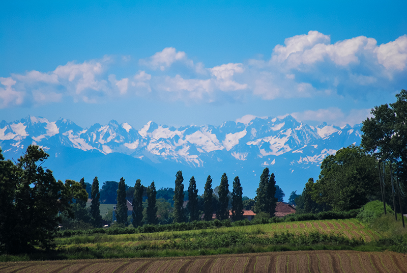 Au bord du Chemin La Prade, Miramont-Sensacq - photo 8