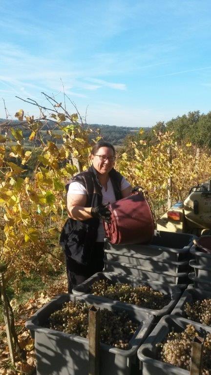 Les Pentes de Barène - photo 3