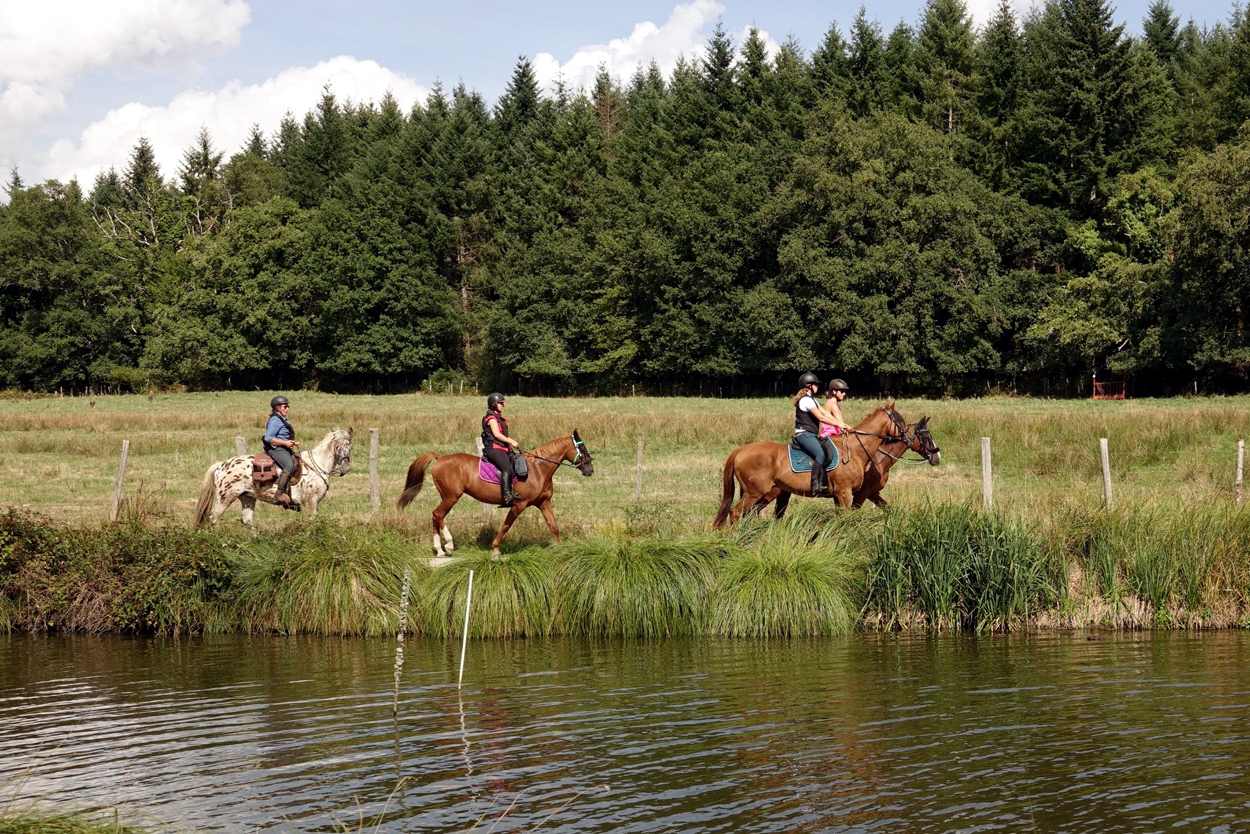 Circuit équestre Equi'cazine, Noth - photo 4