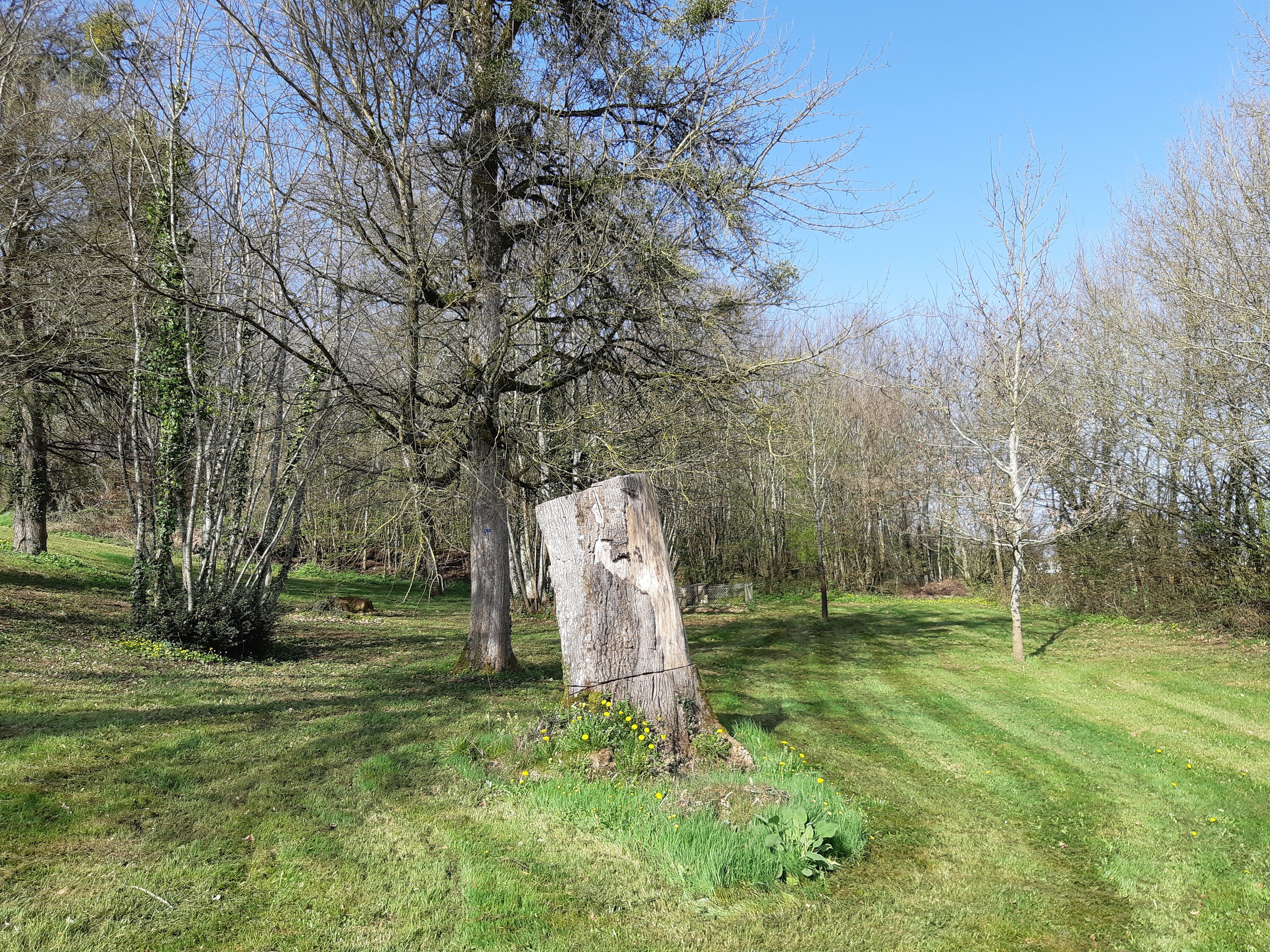 En descendant vers la vallée - Montalembert