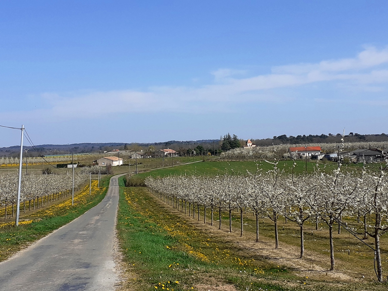 Les Vergers, Salles - photo 6