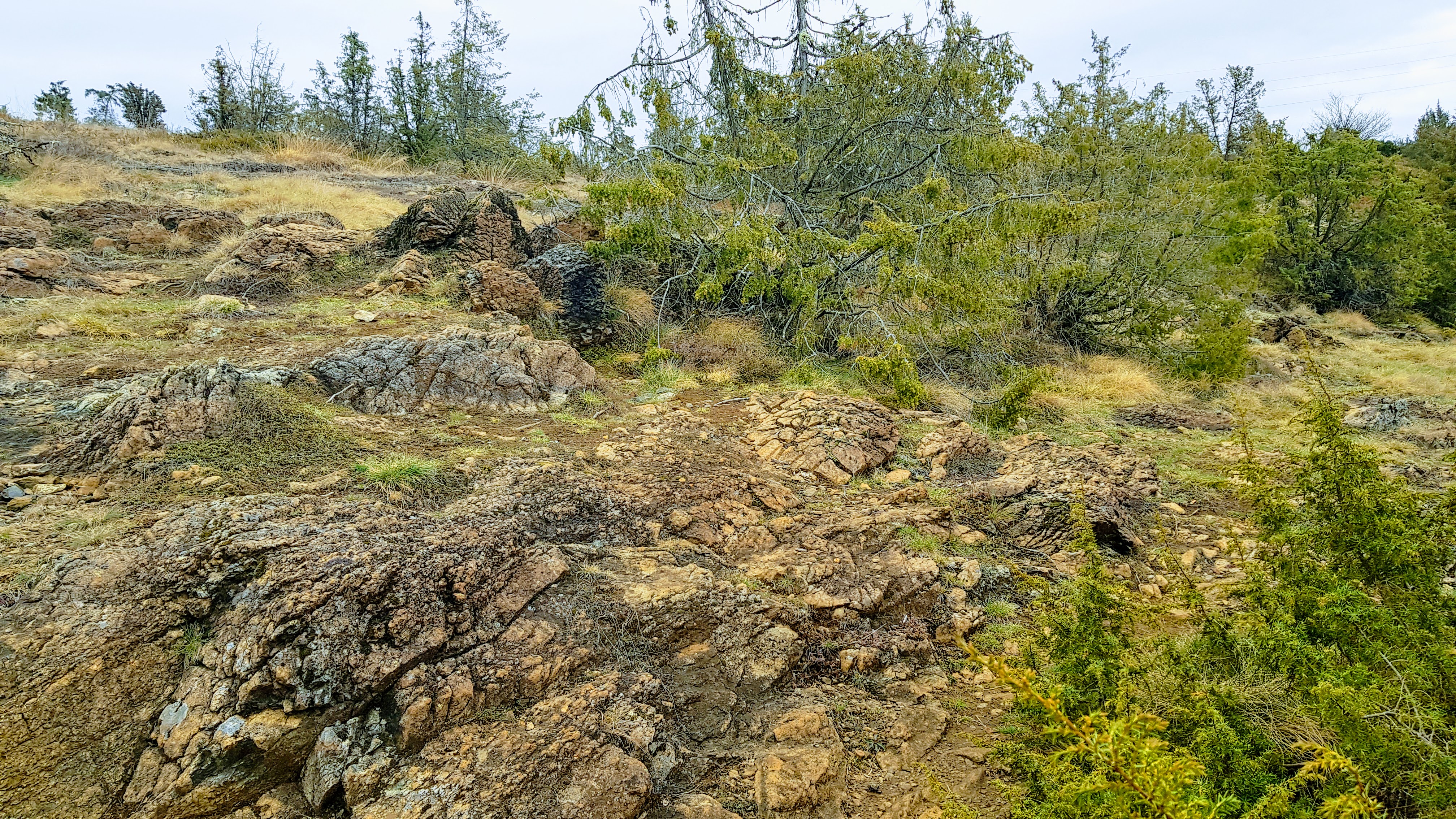 Landes serpentinicoles du Cluzeau et de la Flotte, Meuzac - photo 5