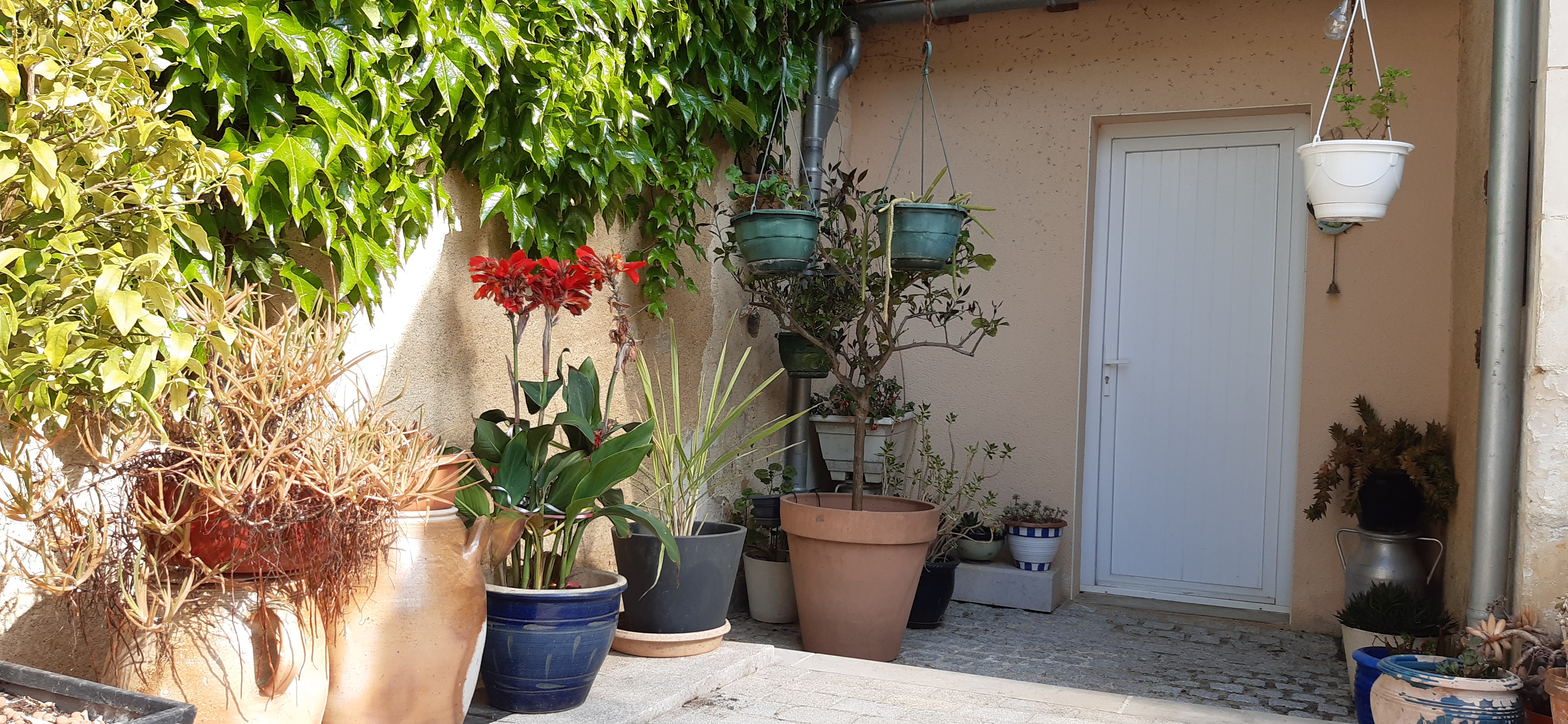 Moulin de Ringère, Quinçay - photo 8