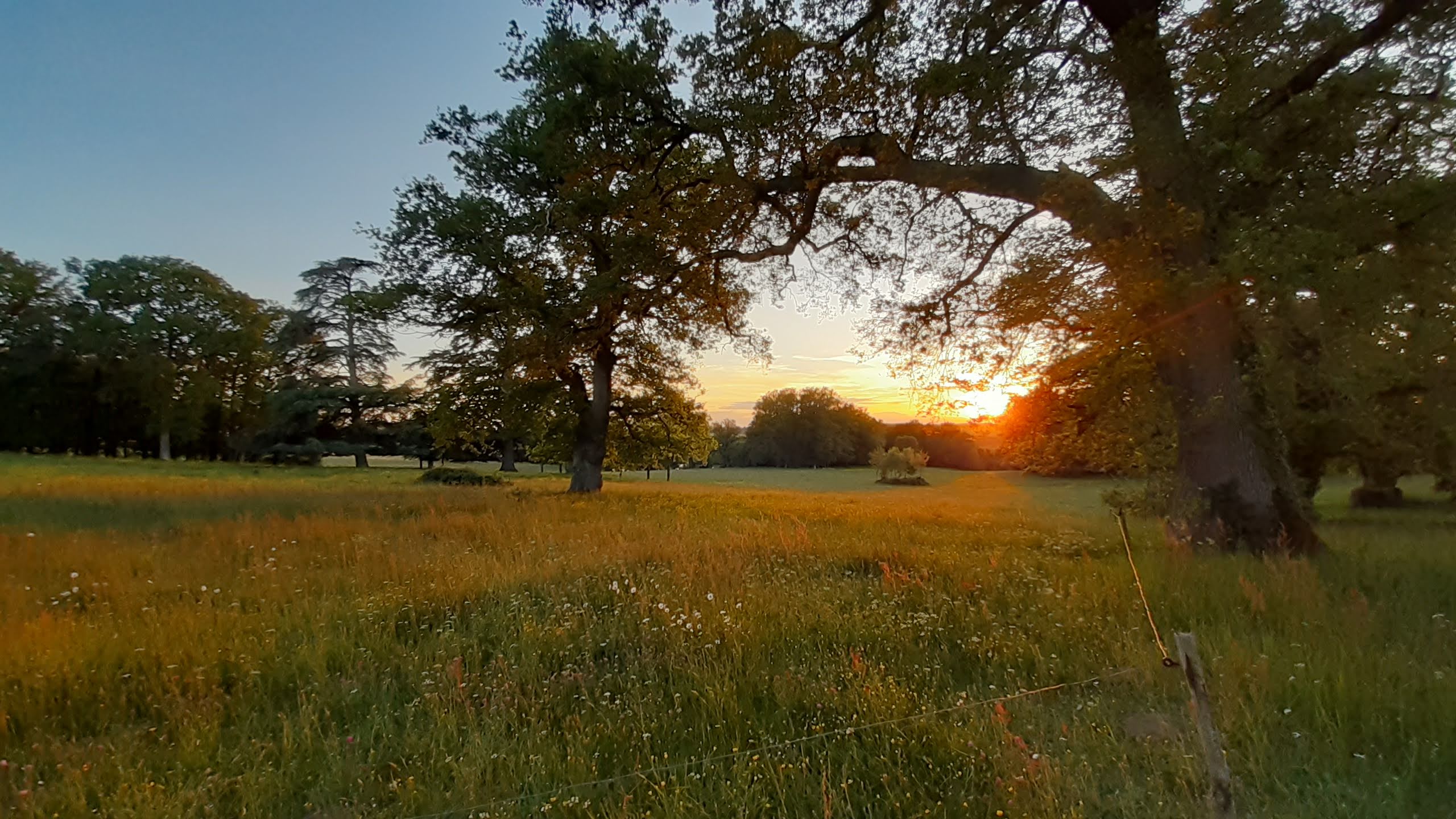 Domaine des Roches Blanches, Le Pin - photo 6