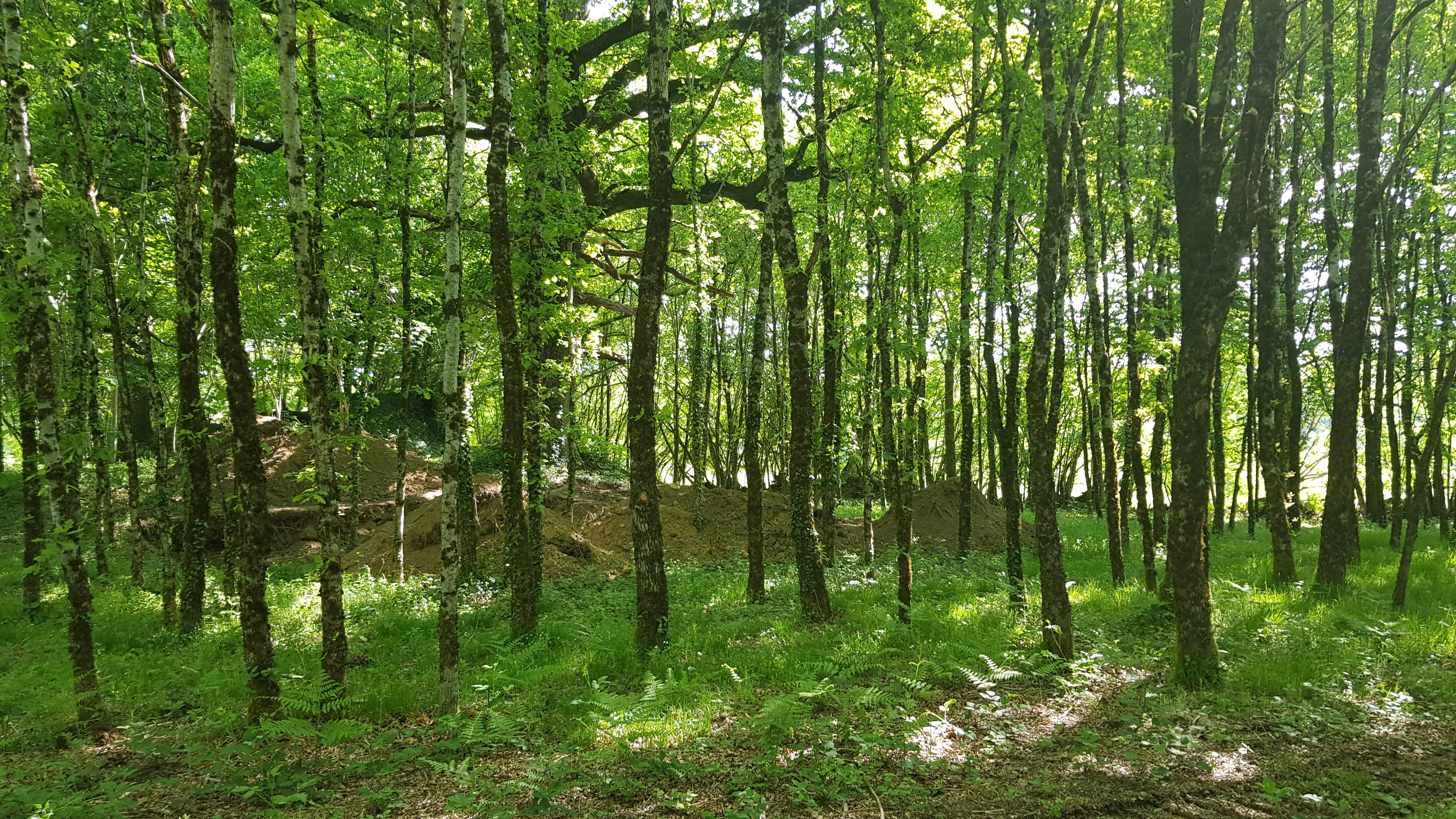 Journée de Patrimoine,  la celle grandmontaine du Cluzeau à Meuzac