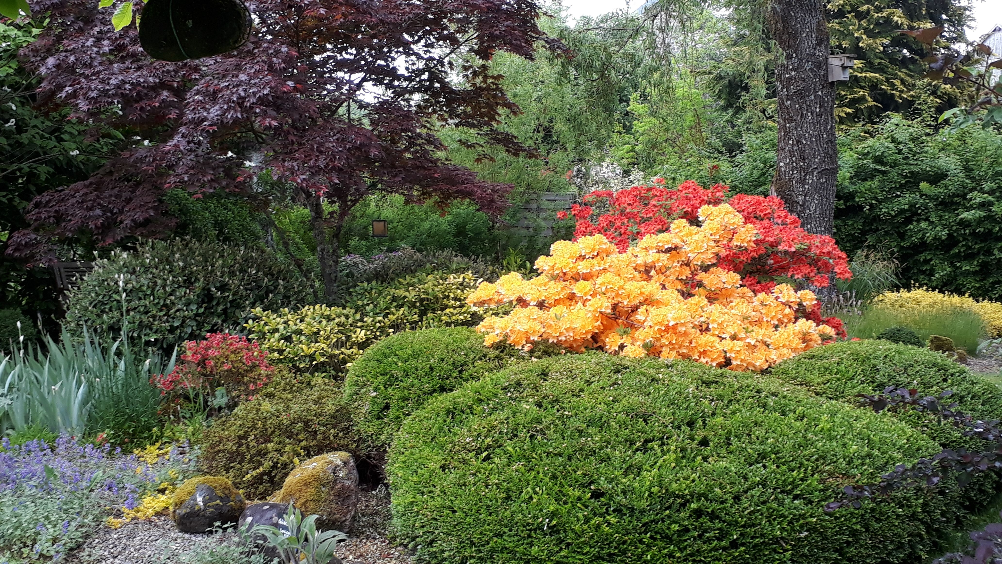 Colline d'Arsac, gîte, Saint-Fréjoux - photo 14