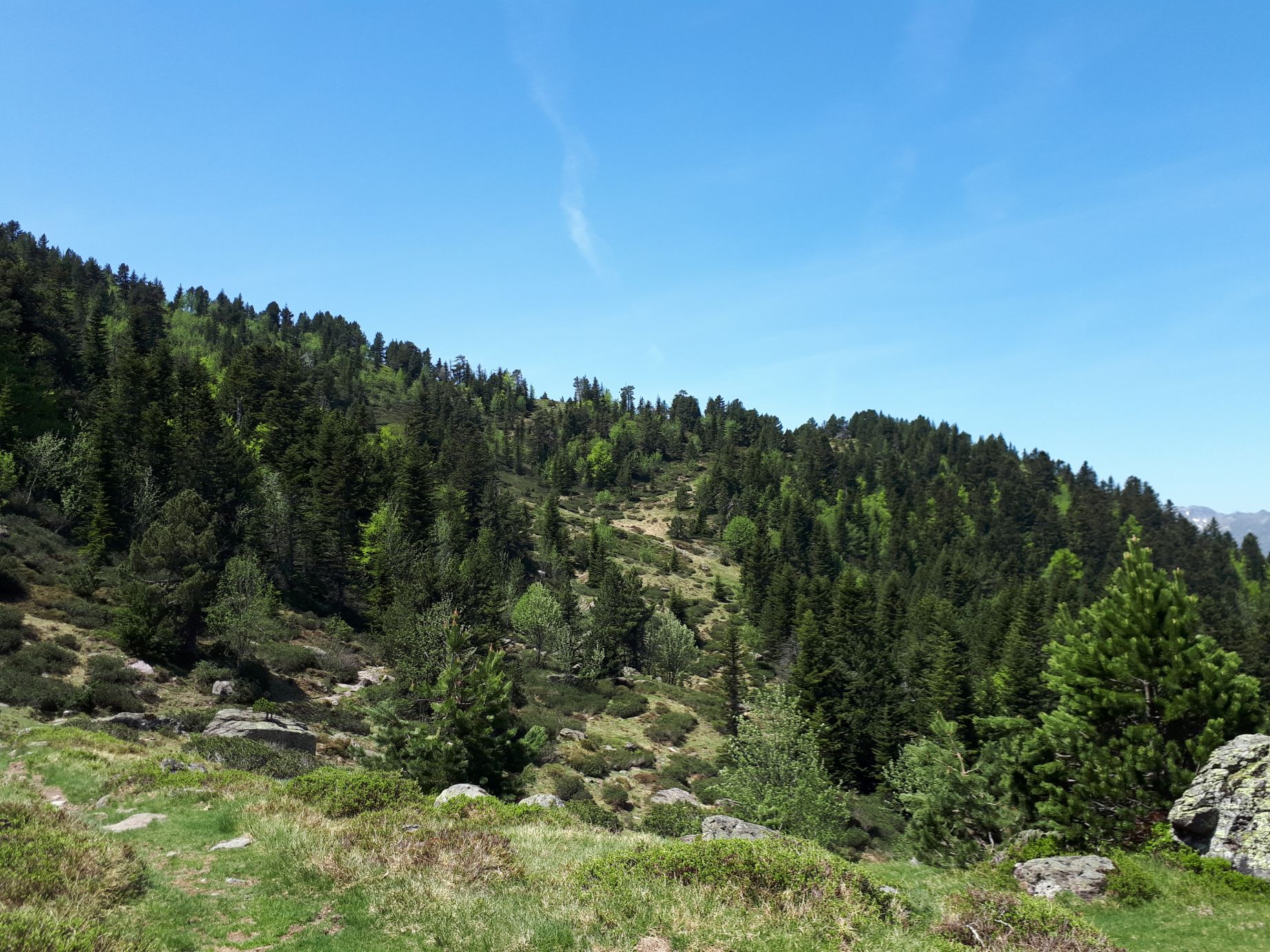 N°67 - Refuge du Larry, Urdos - photo 6