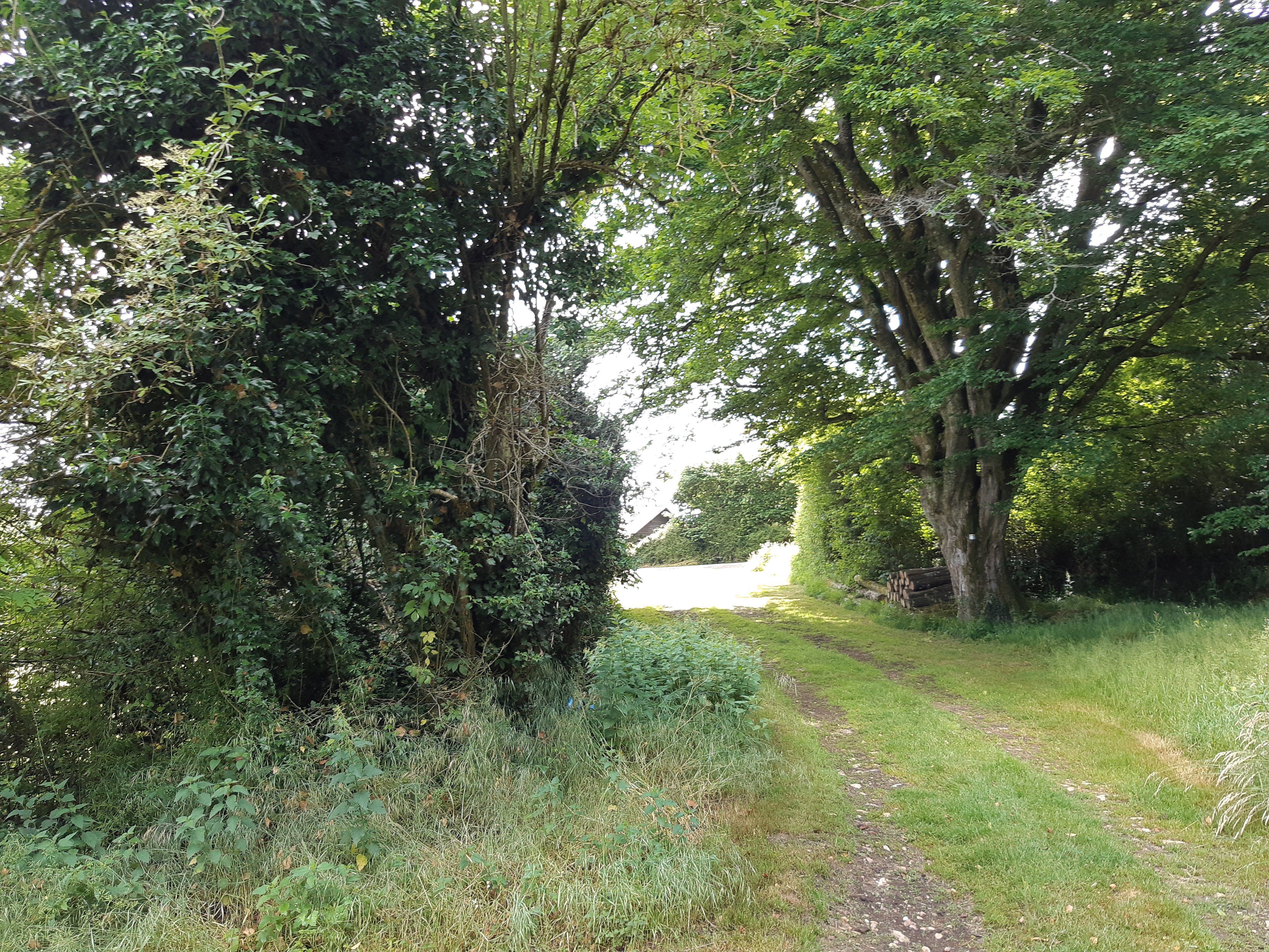 En descendant vers la vallée - Montalembert — photo 3