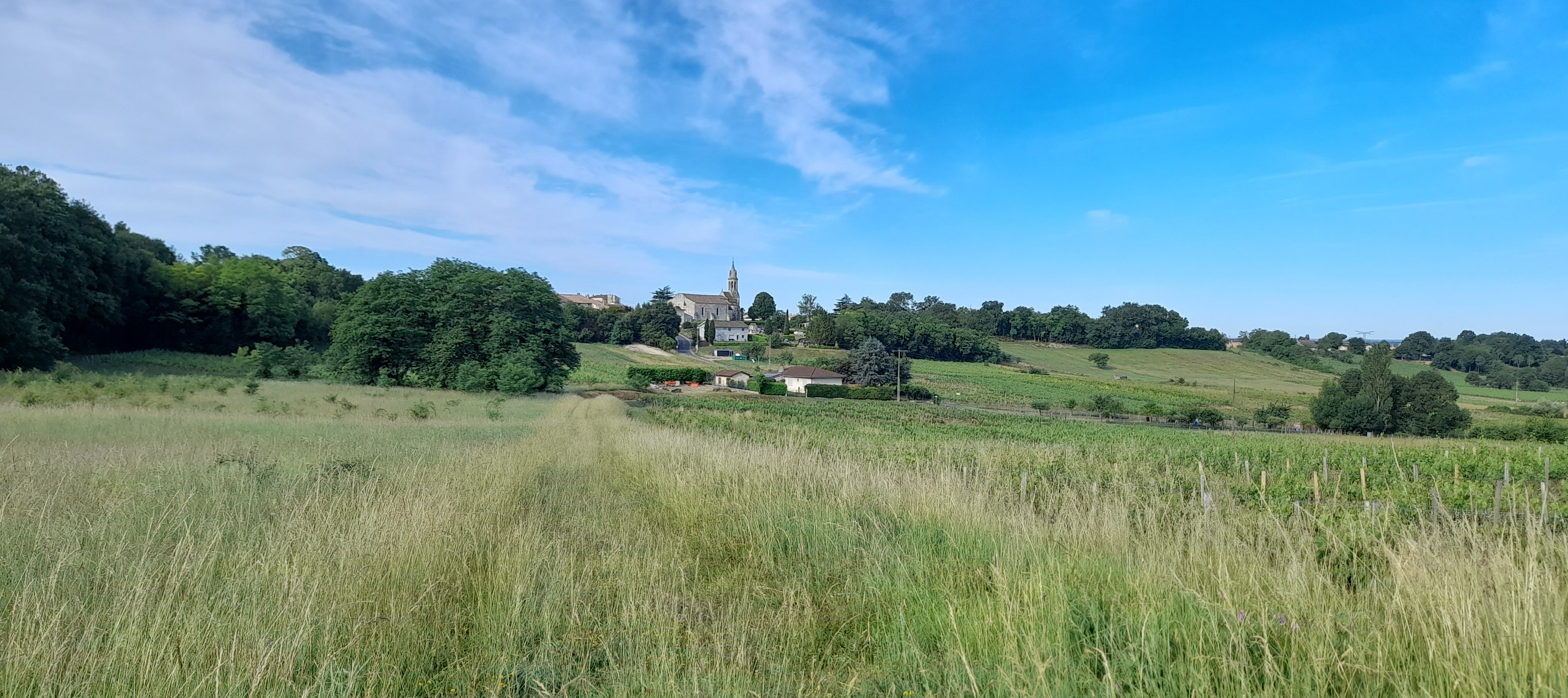Boucle des Romains, Saint-Romain-la-Virvée - photo 6