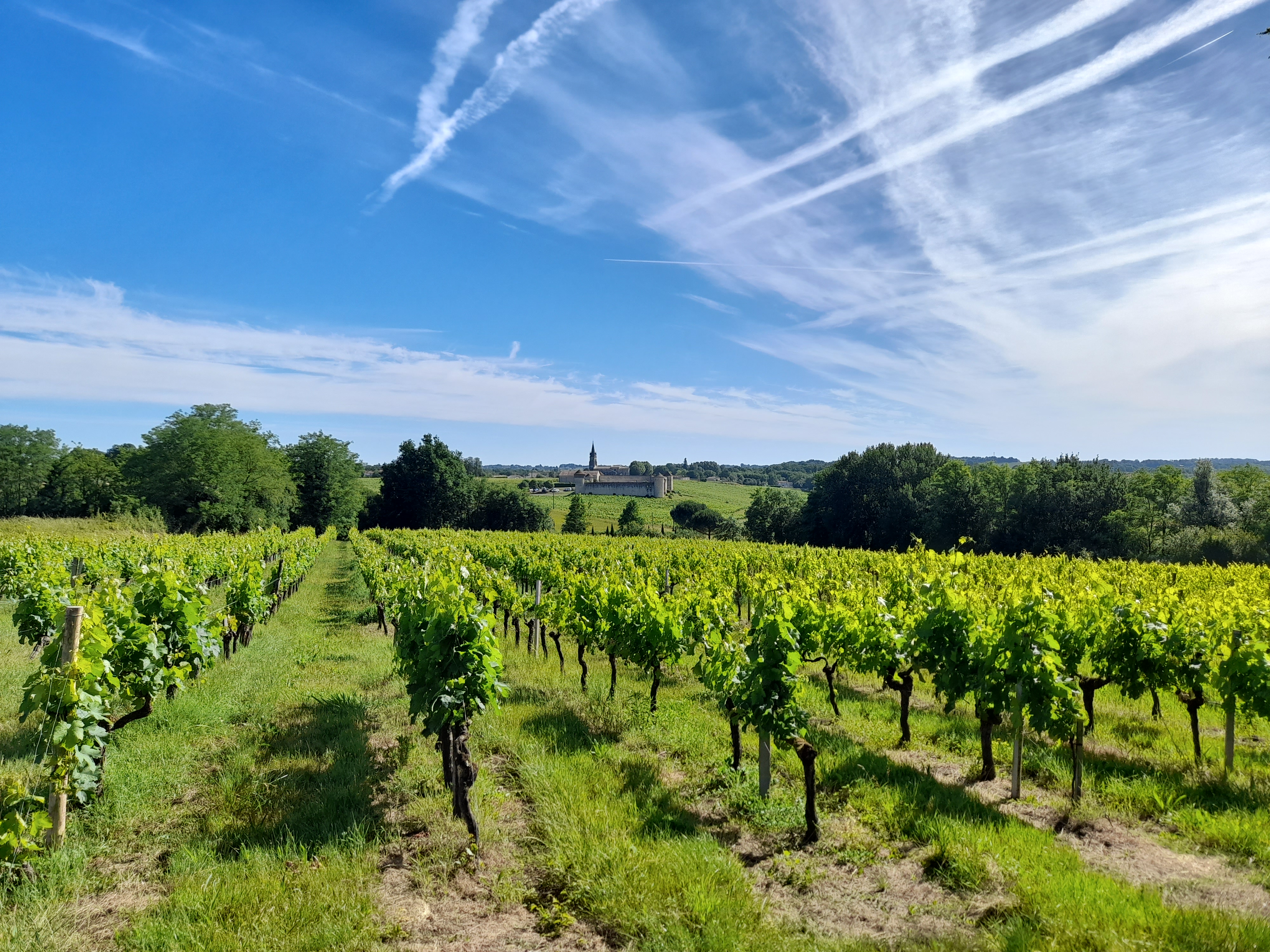 Boucle des Romains, Saint-Romain-la-Virvée - photo 7