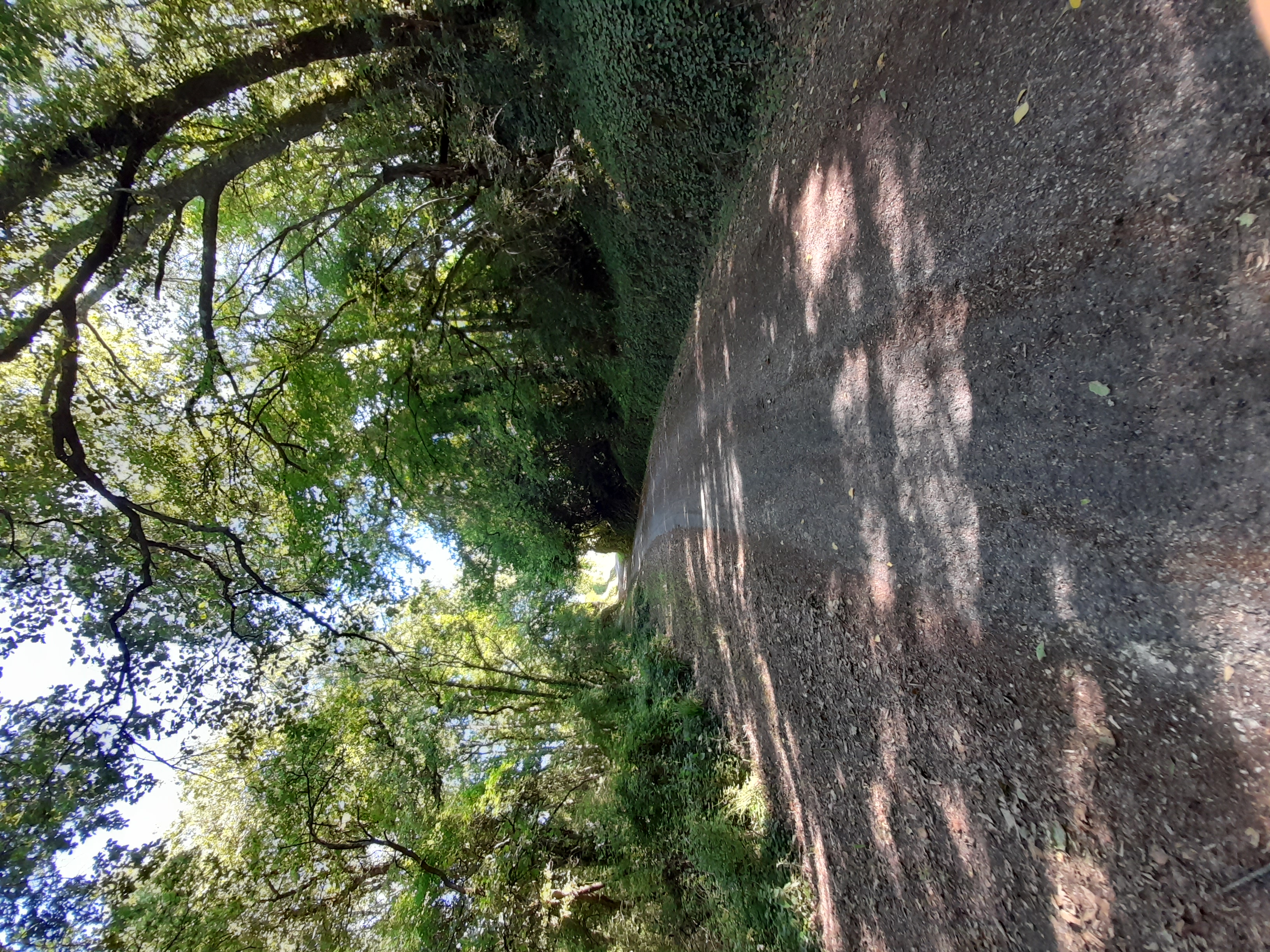 Boucle des Romains, Saint-Romain-la-Virvée