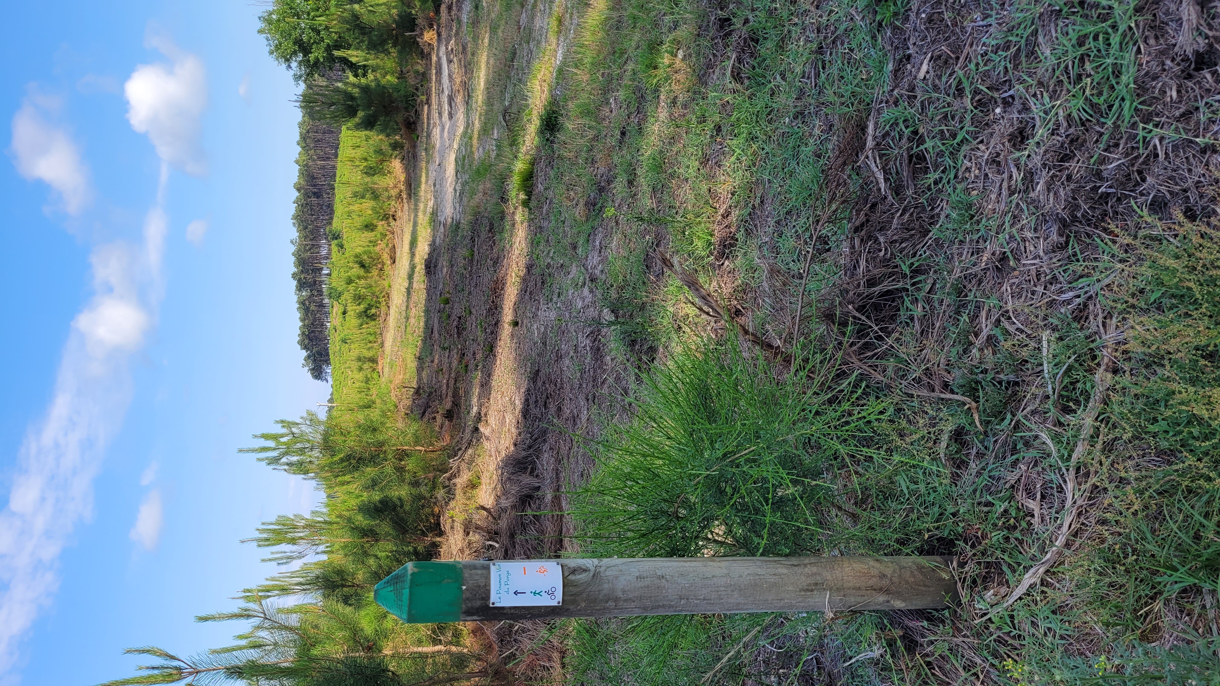 Le Poumon Vert, Le Porge - photo 8