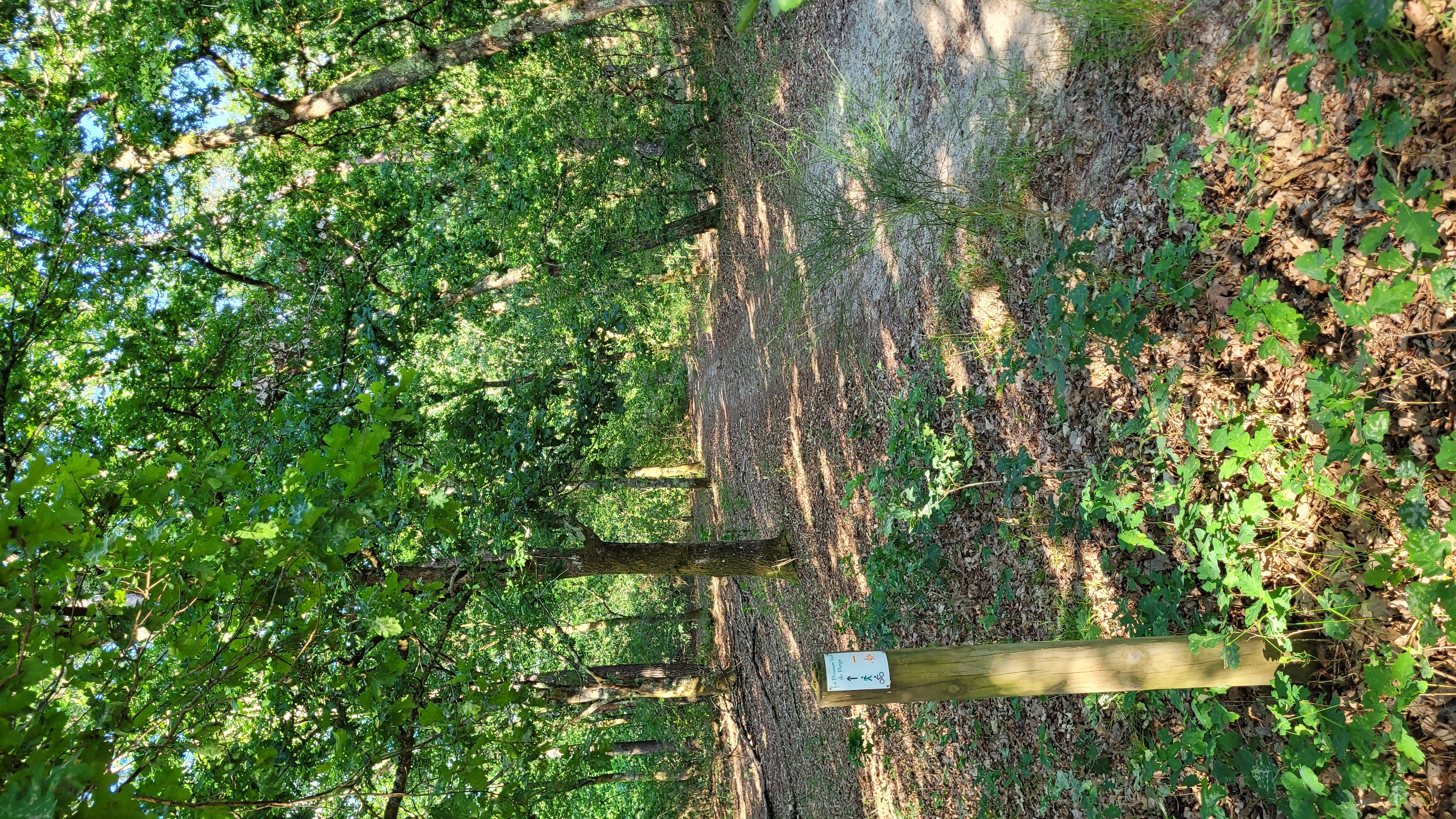 Le Poumon Vert, Le Porge - photo 9