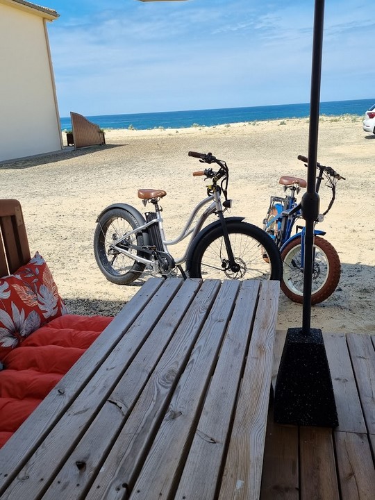 Sarl Cantegrit, Mimizan - photo 23