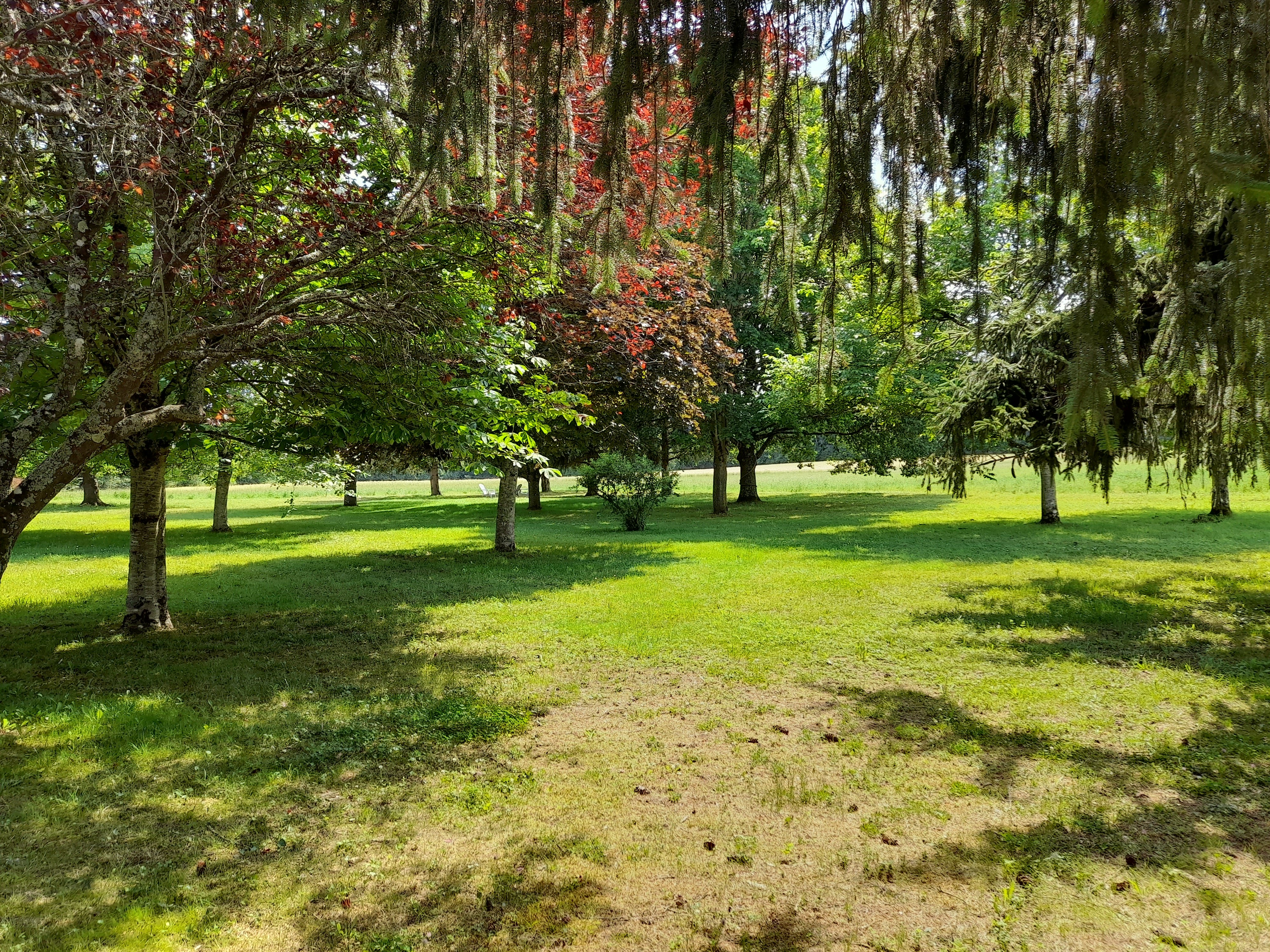 Le Gîte du Louvanto, Bonnes