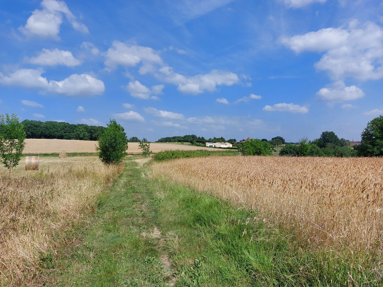 Gîte Luma, Prayssas - photo 10