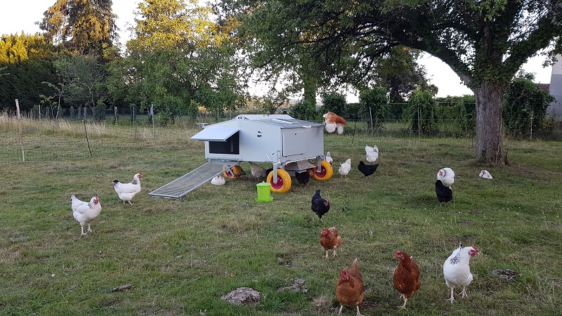 Aux P'tits Oignons !