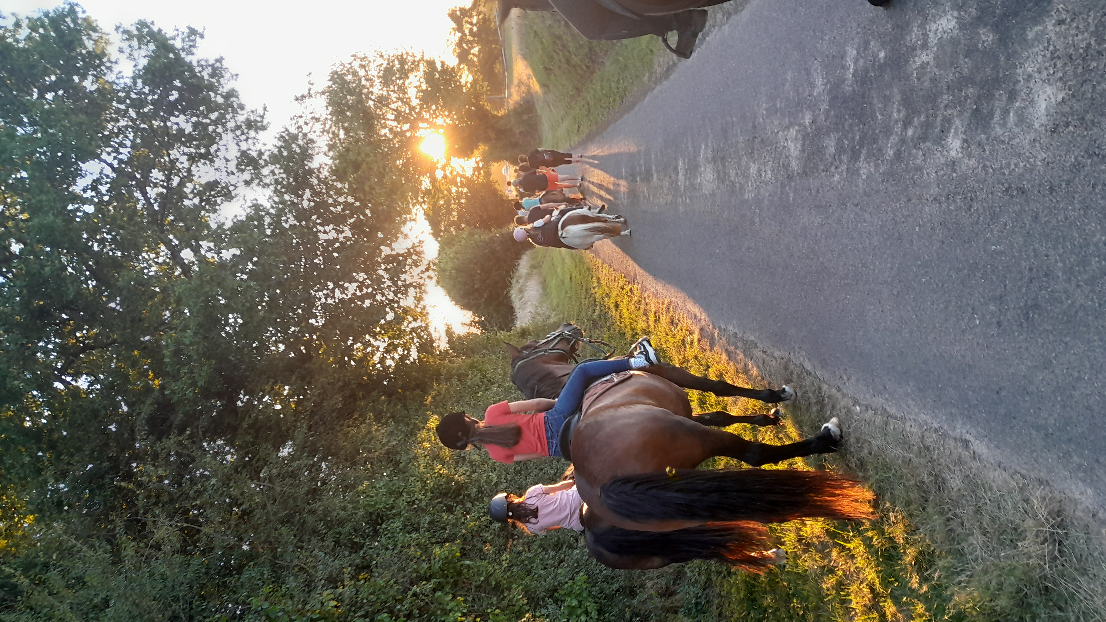 Poney Club des Retrouvailles