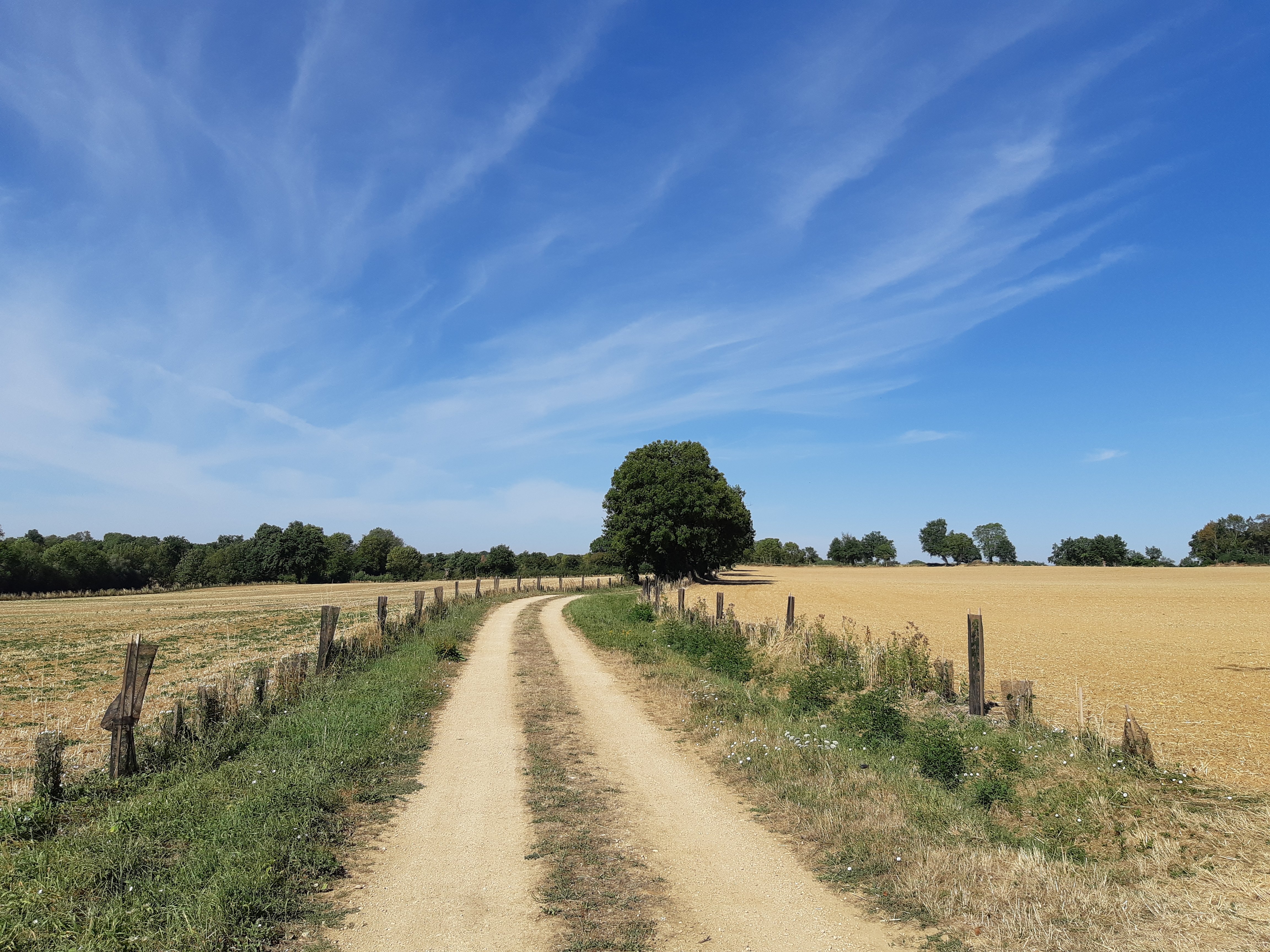 Lambon-Gros-Bois-Parking haut base de loisirs