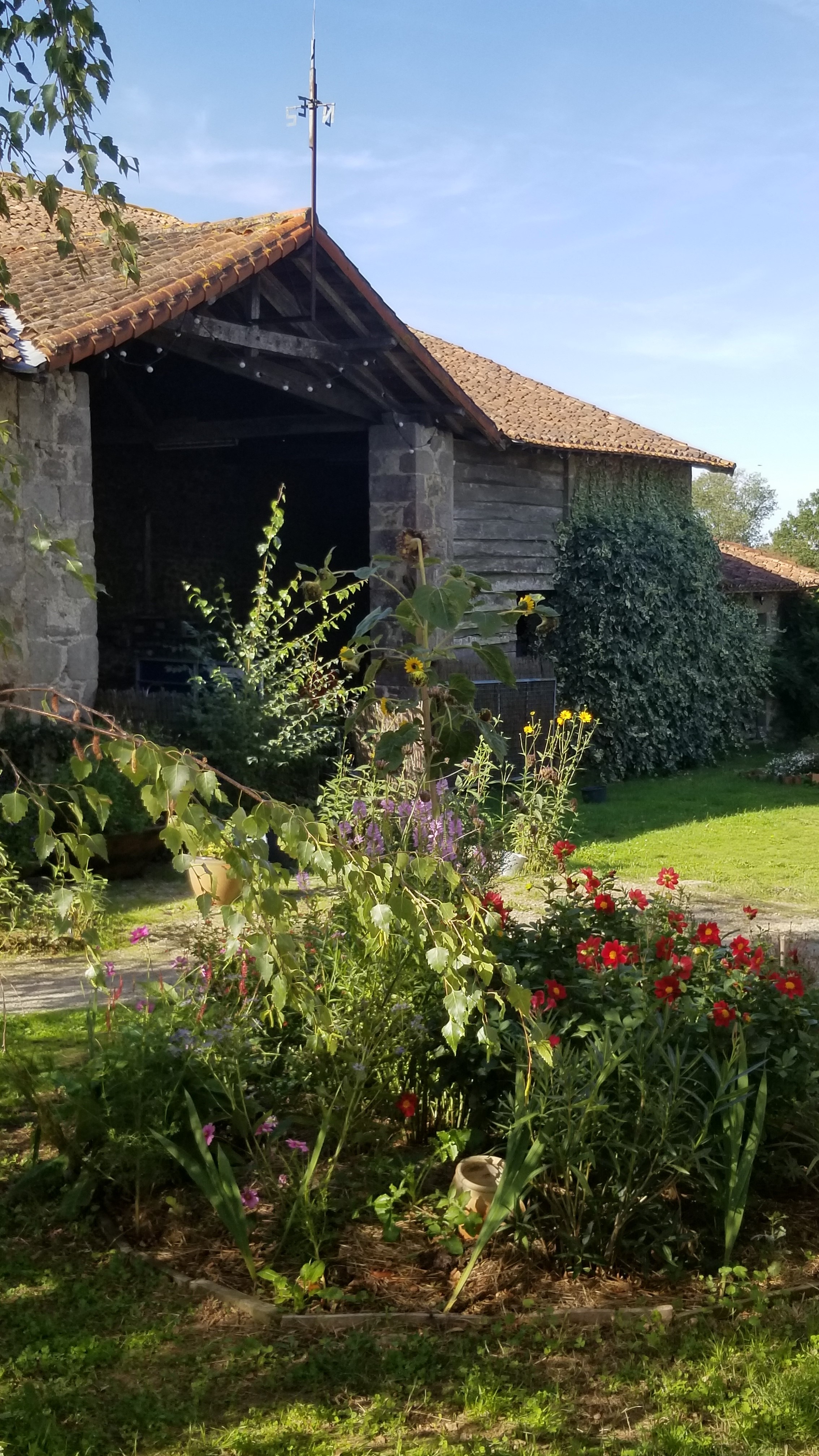 Chambres d'hôtes Les Grippeaux - les Tilleuls, Gourgé - photo 8