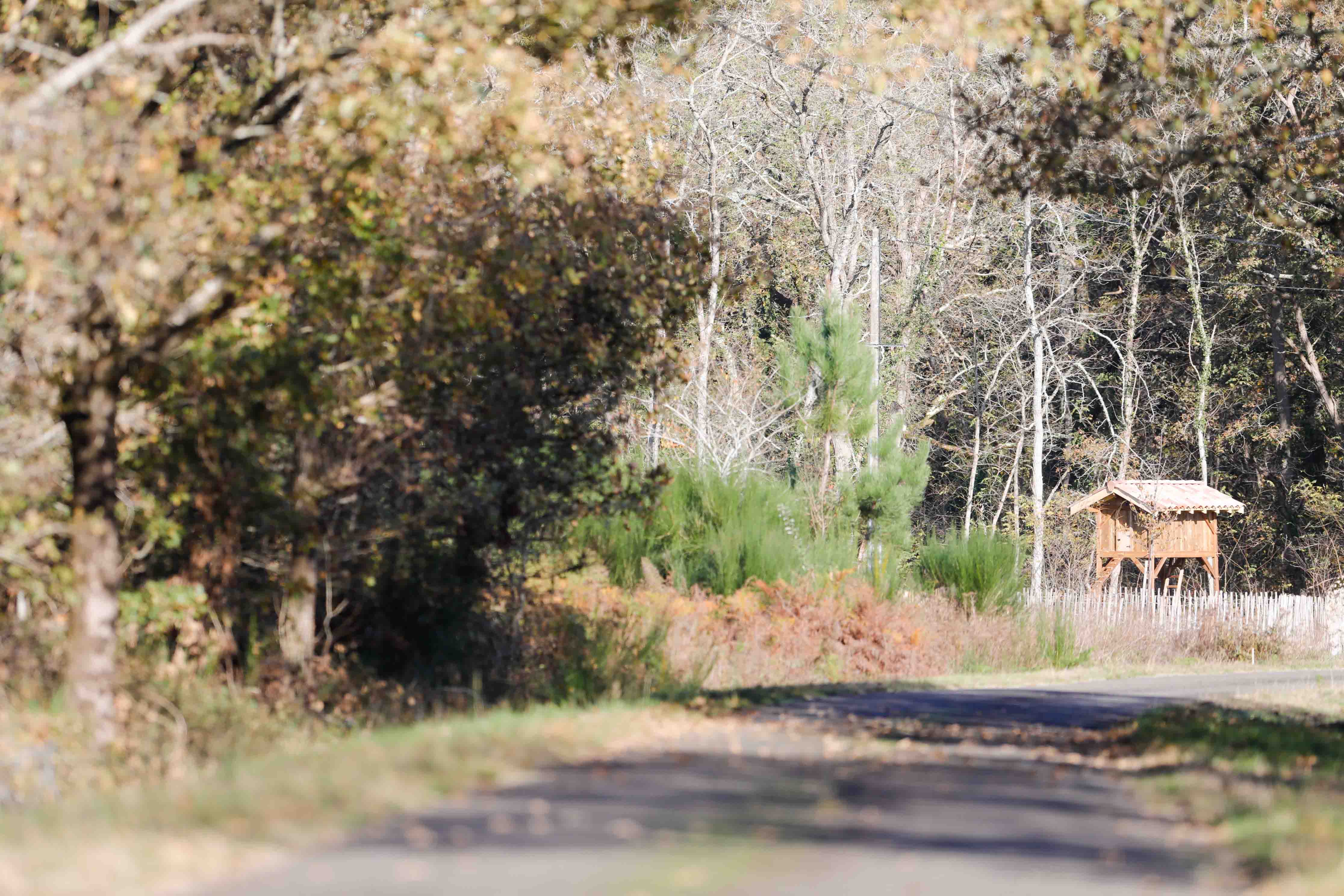 Gîte Le Prébendéron, Cachen - photo 6