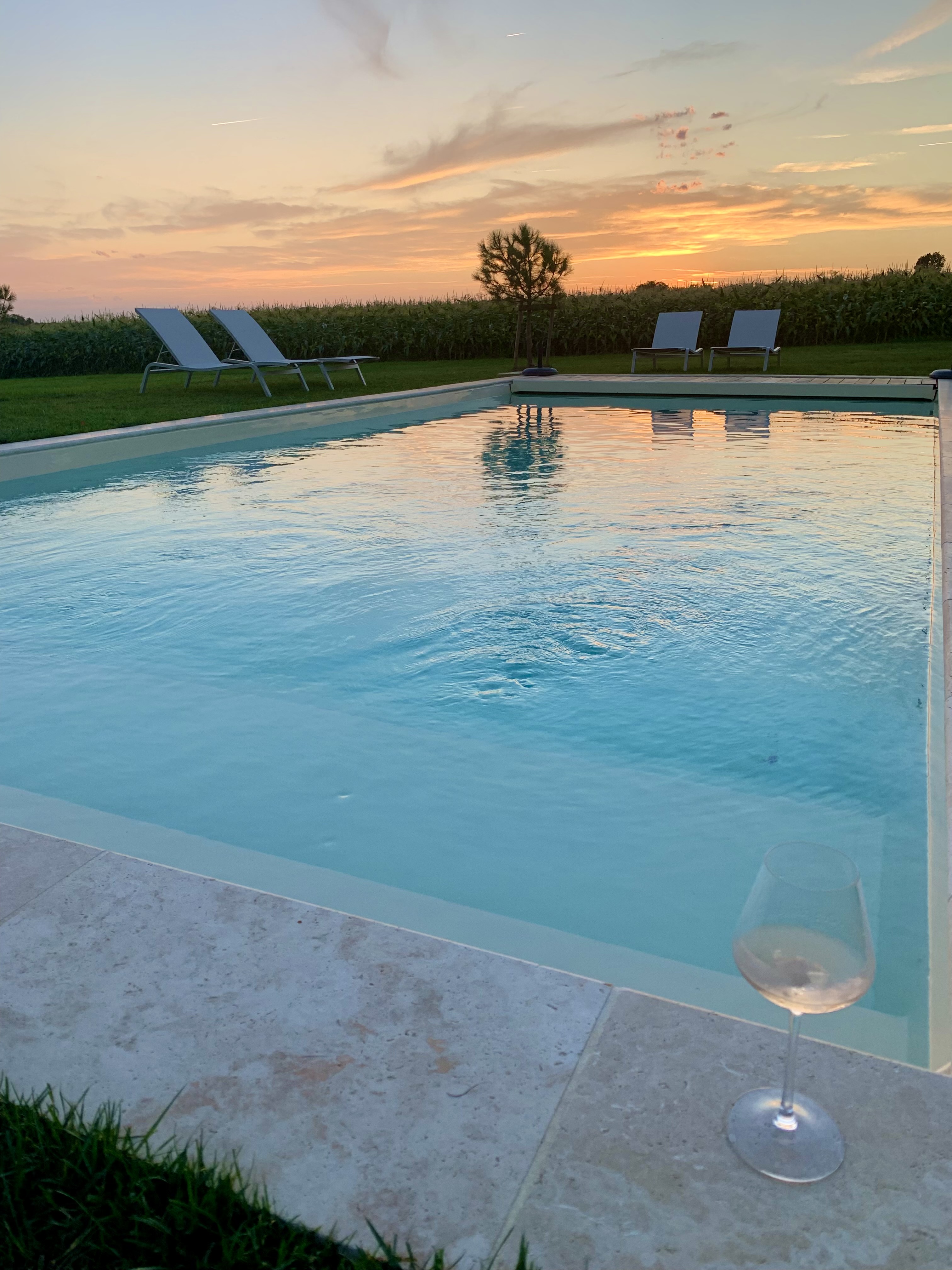 Le Poutic, Créon-d'Armagnac - photo 22