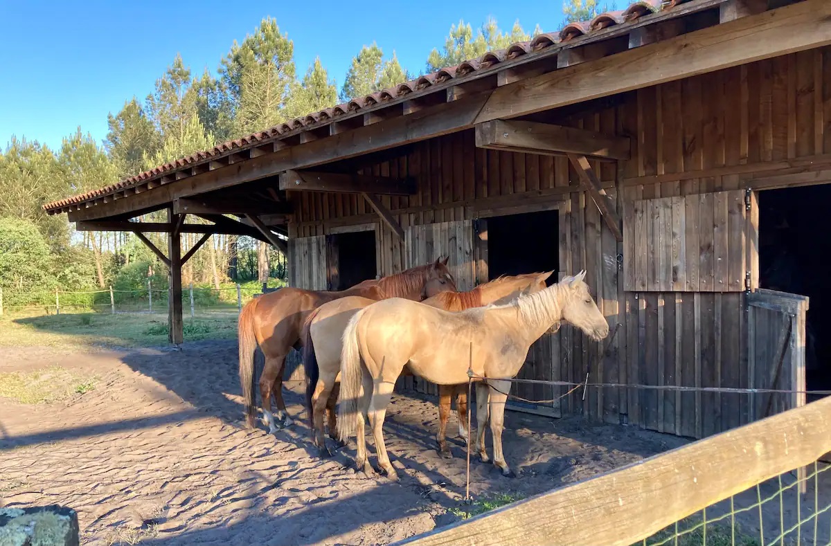 Henry's Lodge, Estigarde - photo 2