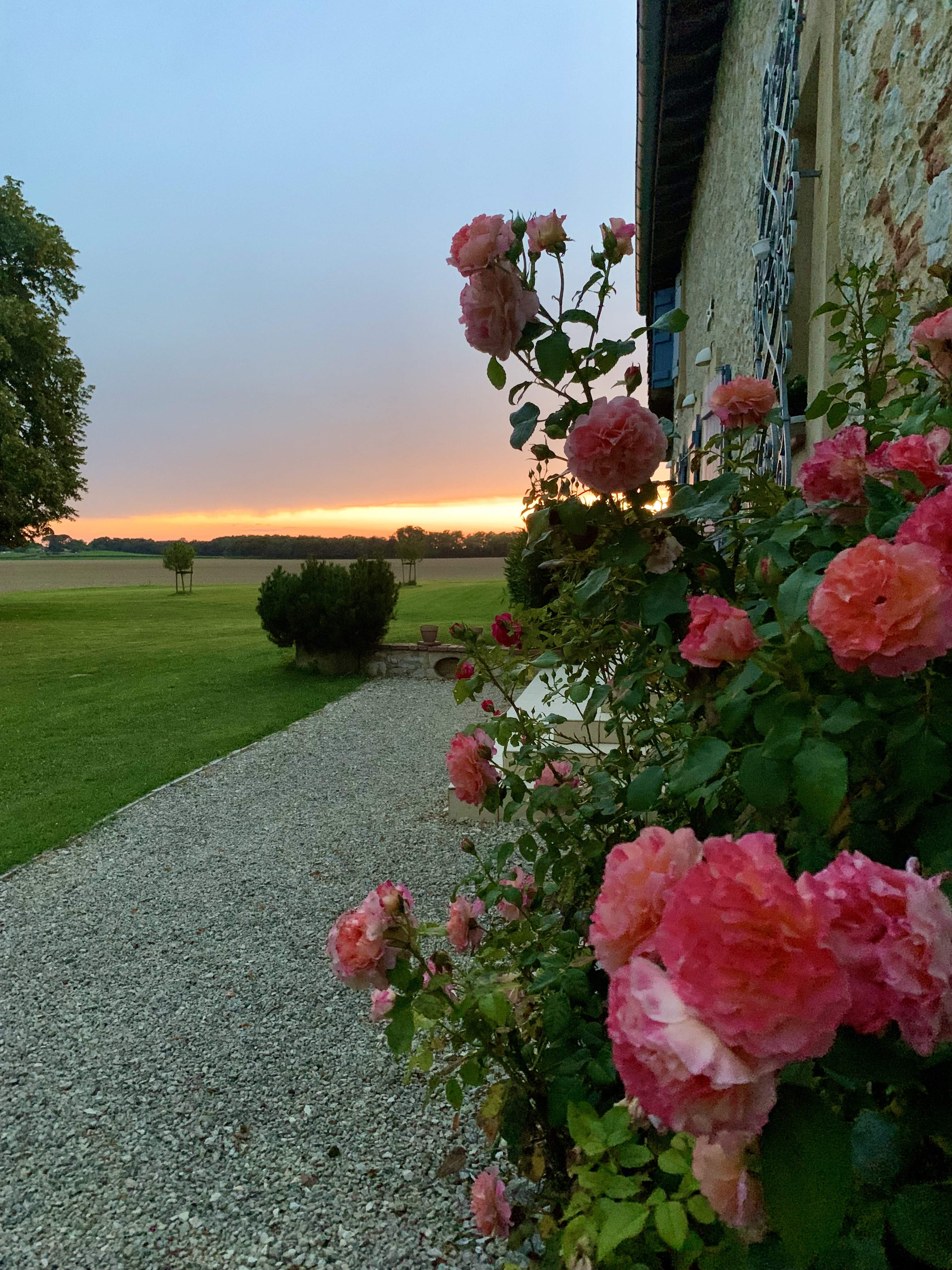 Le Poutic, Créon-d'Armagnac - photo 2