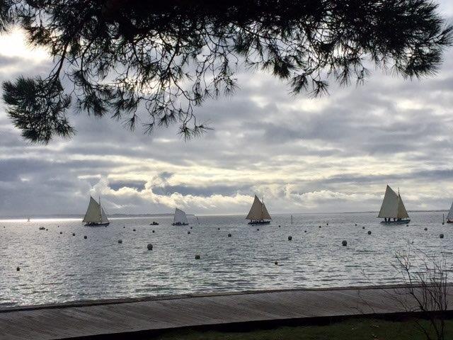 Ciel et jardin, Andernos-les-Bains - photo 2