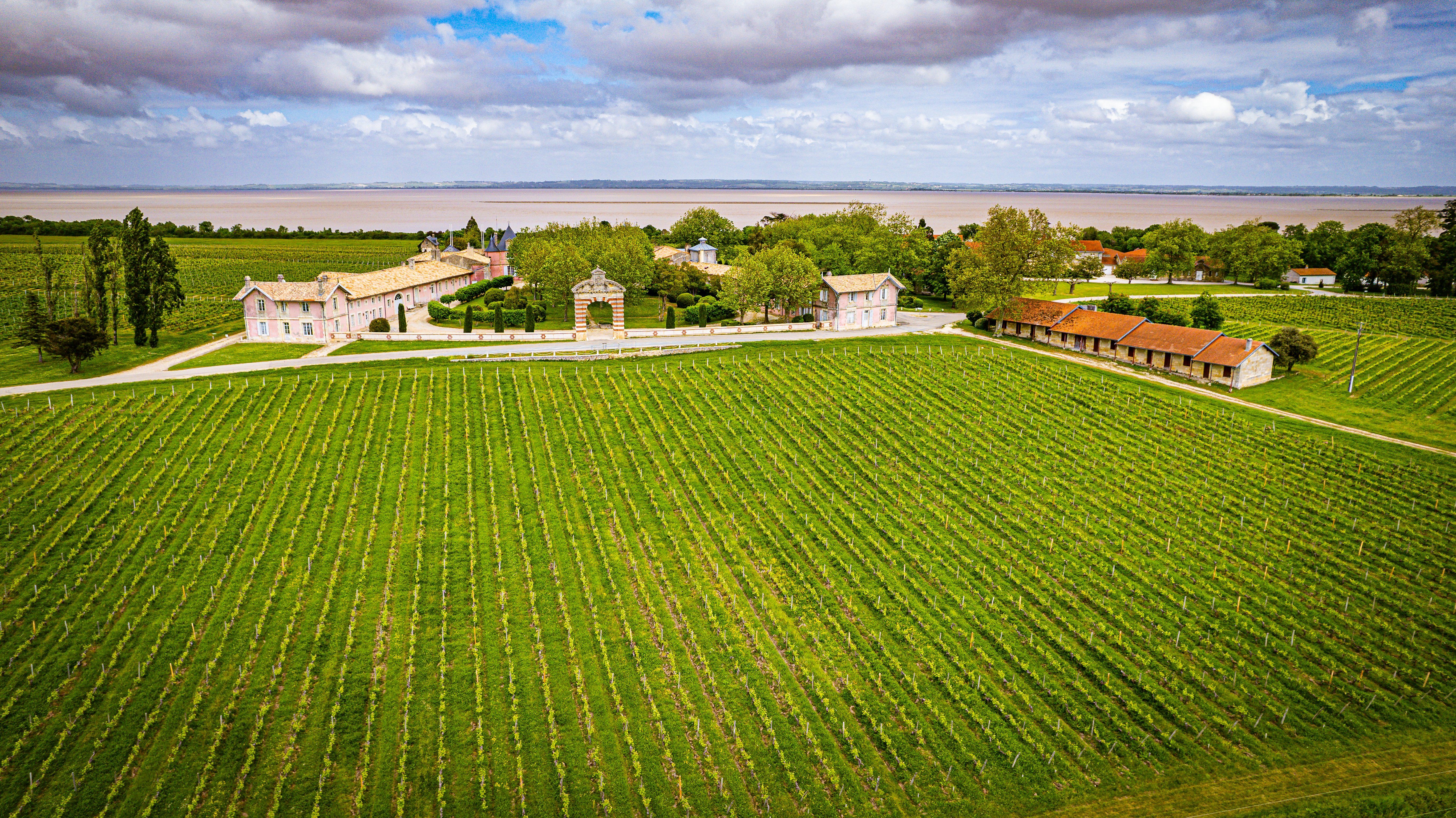 Château Loudenne - photo 3