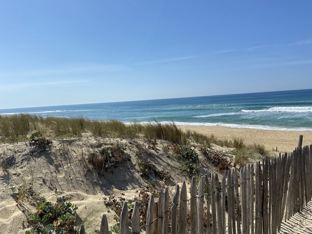 Belmont Sandrine, Mimizan - photo 9