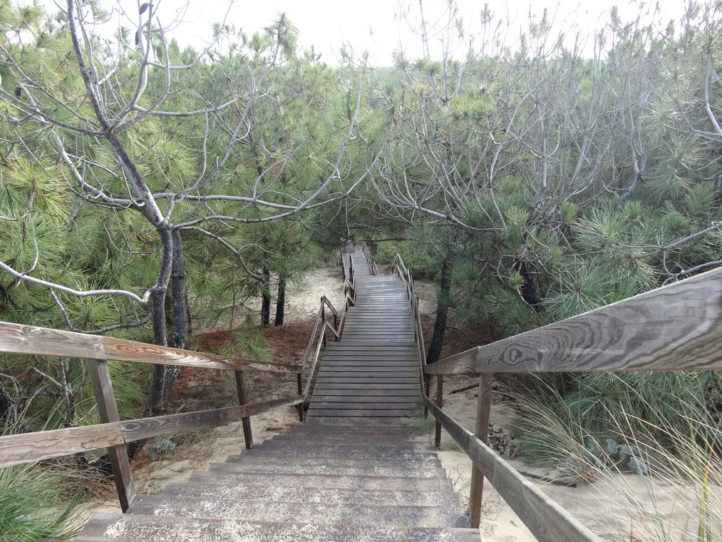 Belmont Sandrine, Mimizan - photo 6