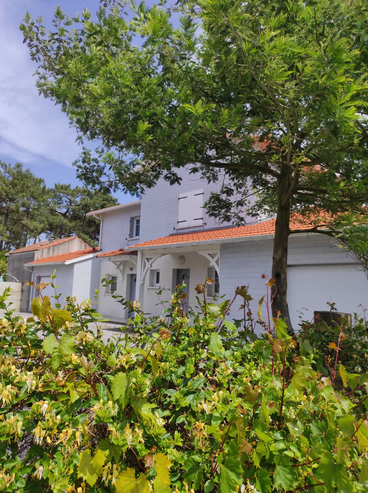 Boin Philippe et Frédérique, Mimizan - photo 11