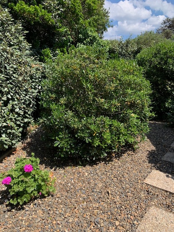 BEL AIR PLAGE - Colibri - photo 5