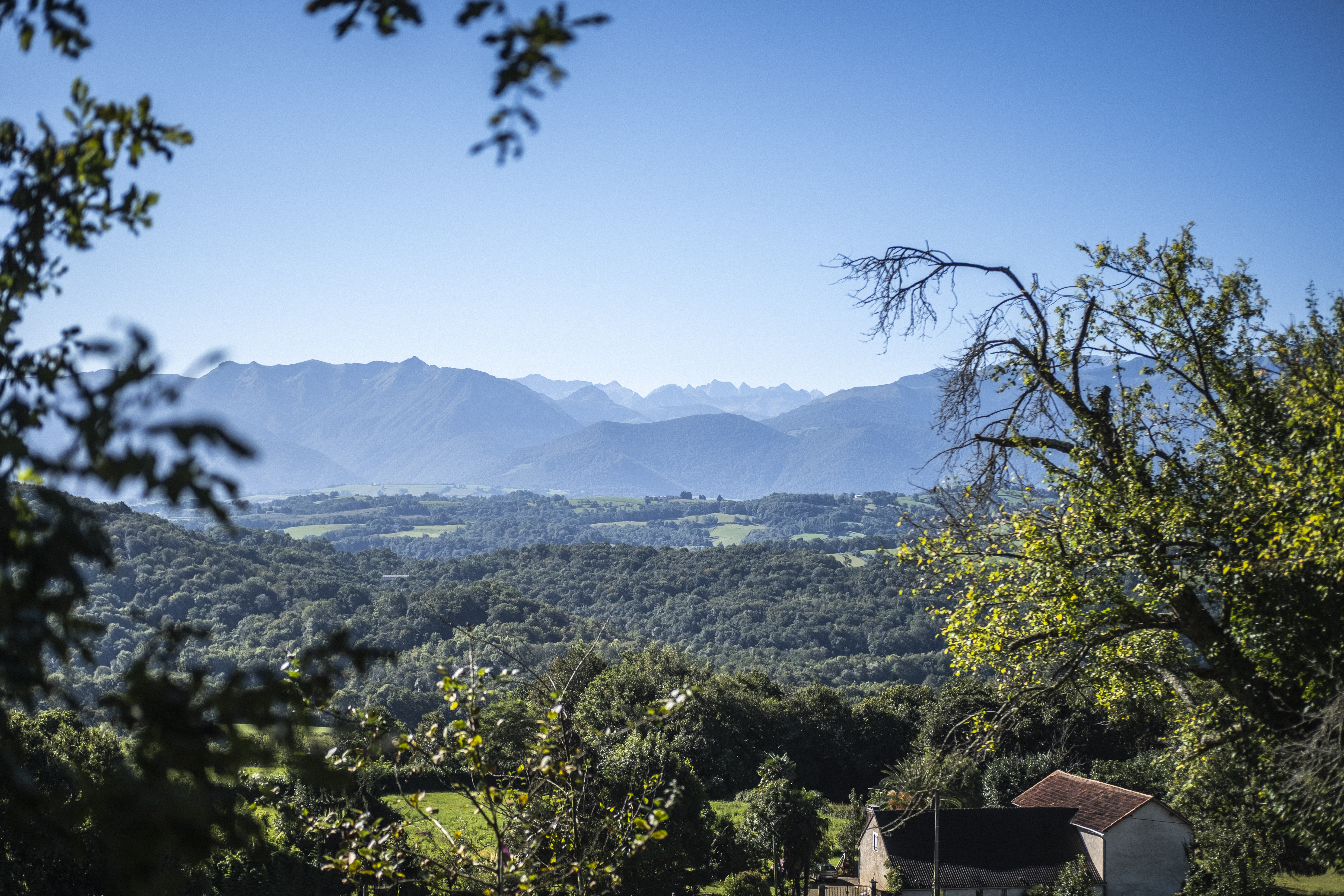 Les Bois du sanctuaire de Piétat